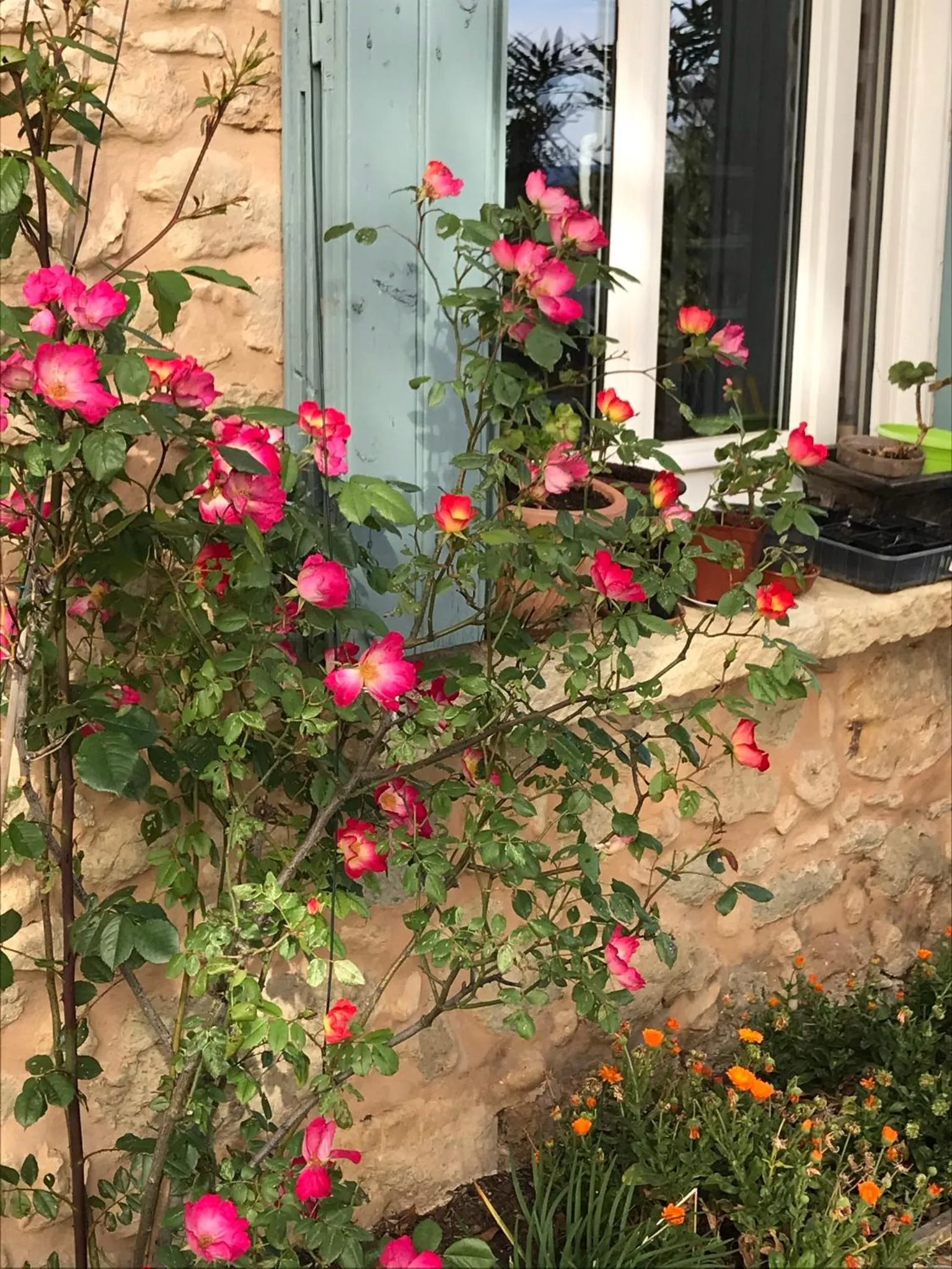 Facade/entrance in Oustau du Ventoux
