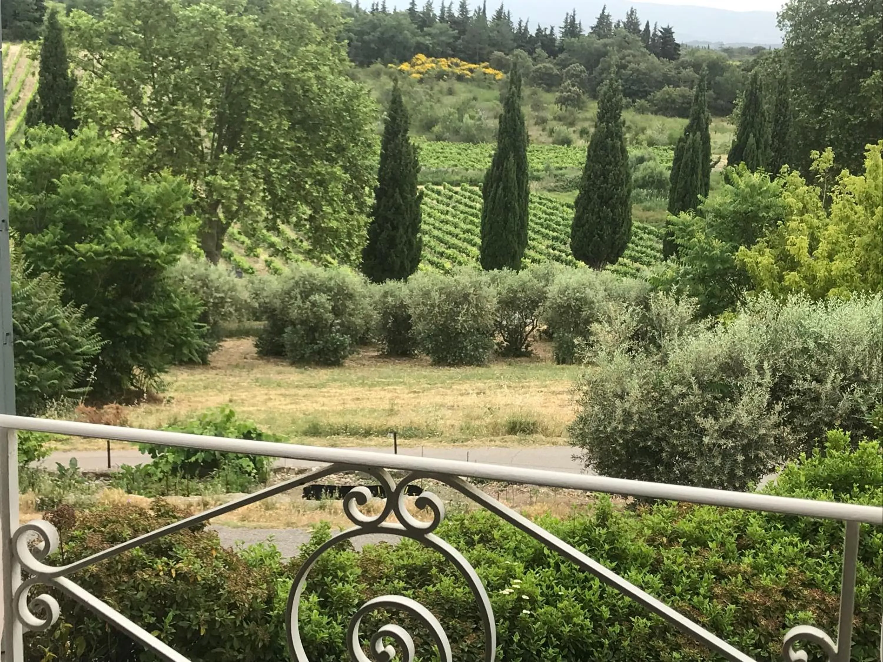Natural landscape in Oustau du Ventoux