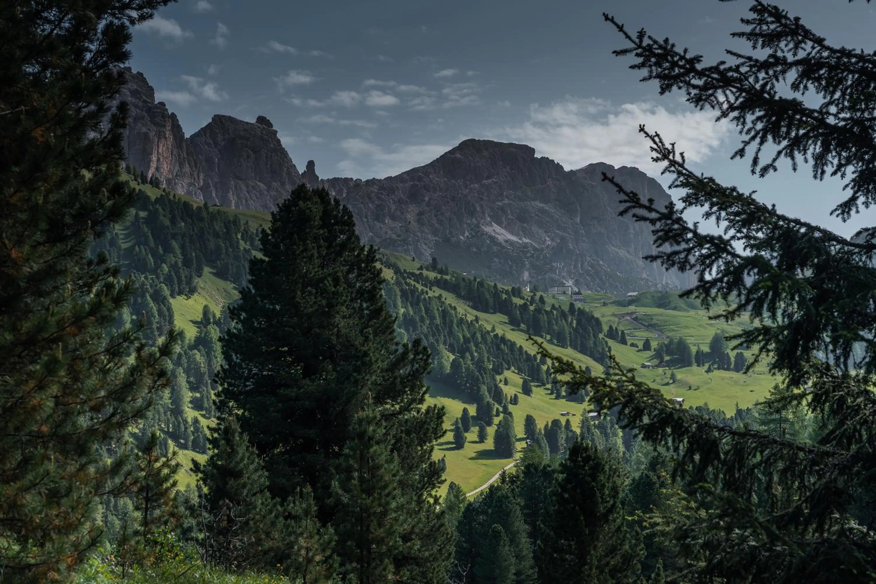 Natural landscape in Hotel Ciasa Soleil