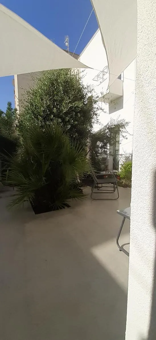 Day in Patio 101 "Exclusive"