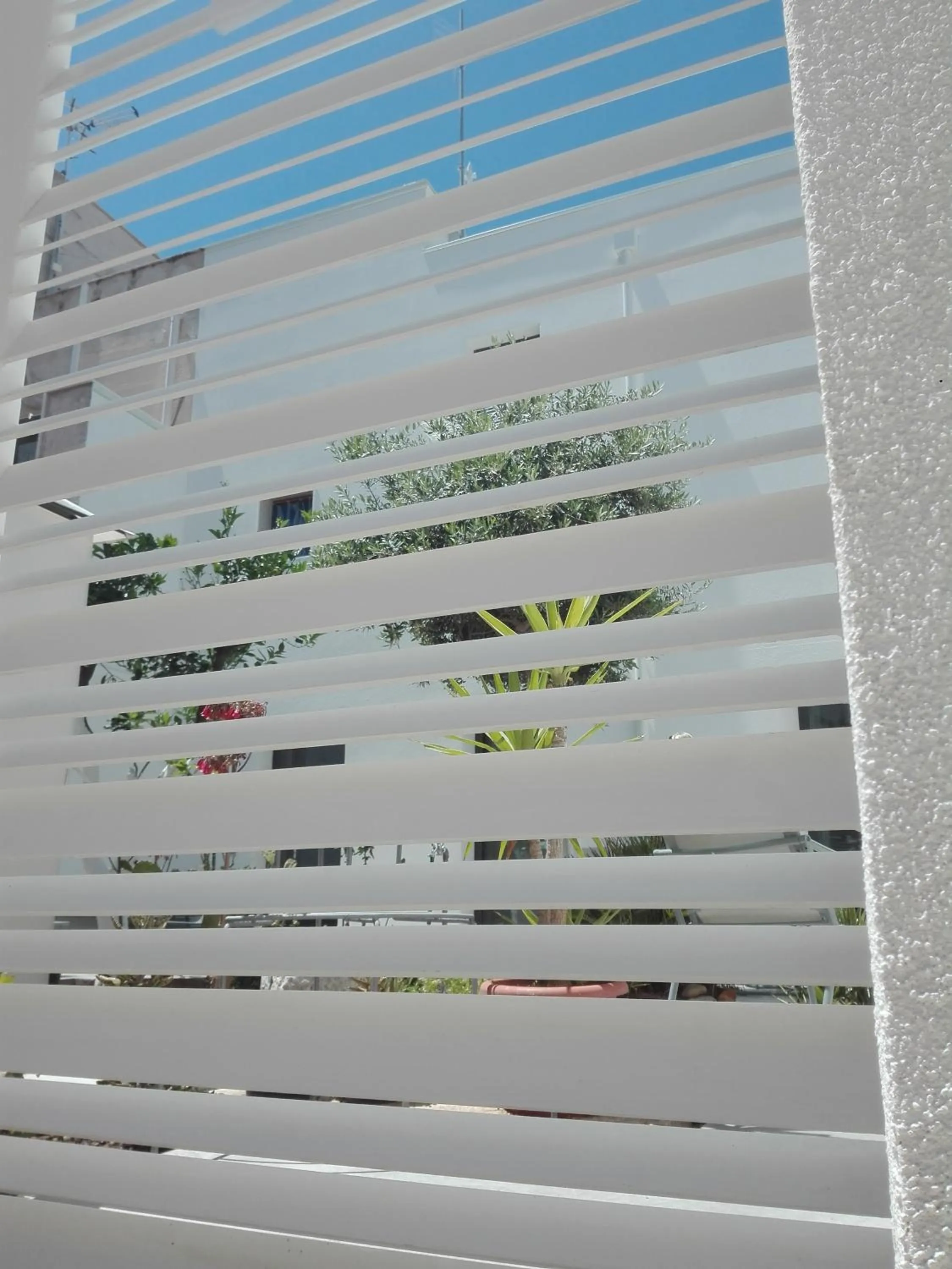 Property building in Patio 101 "Exclusive"