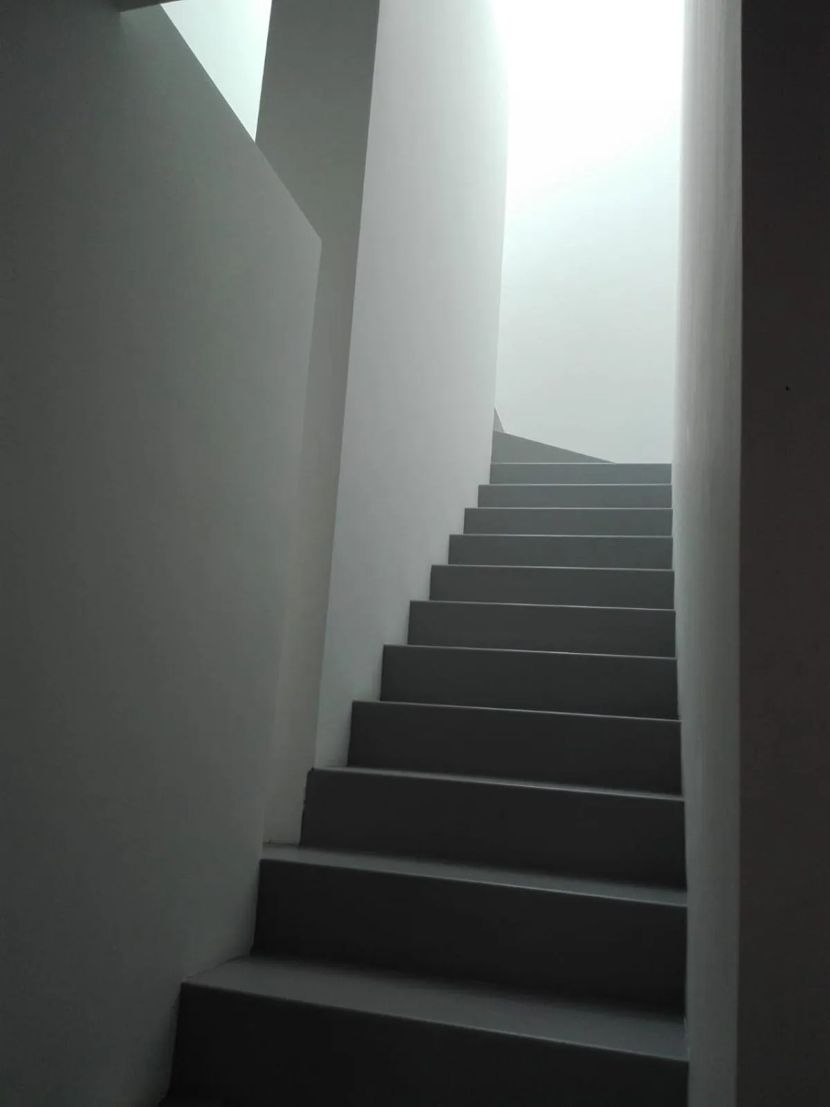 Lobby or reception in Patio 101 "Exclusive"