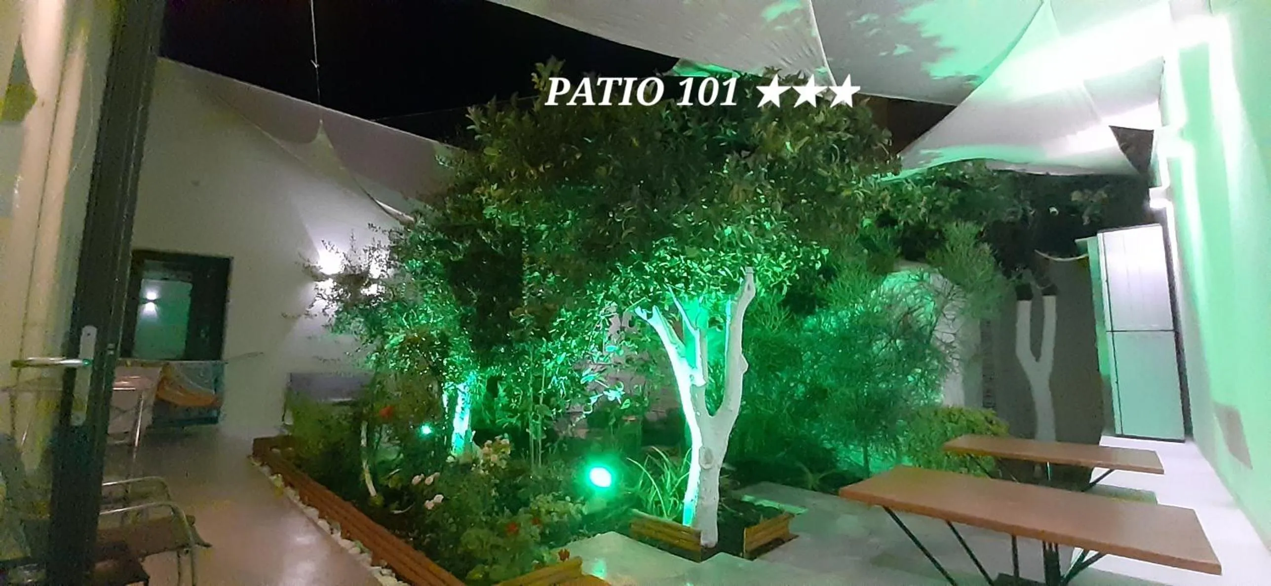 Night in Patio 101 "Exclusive"