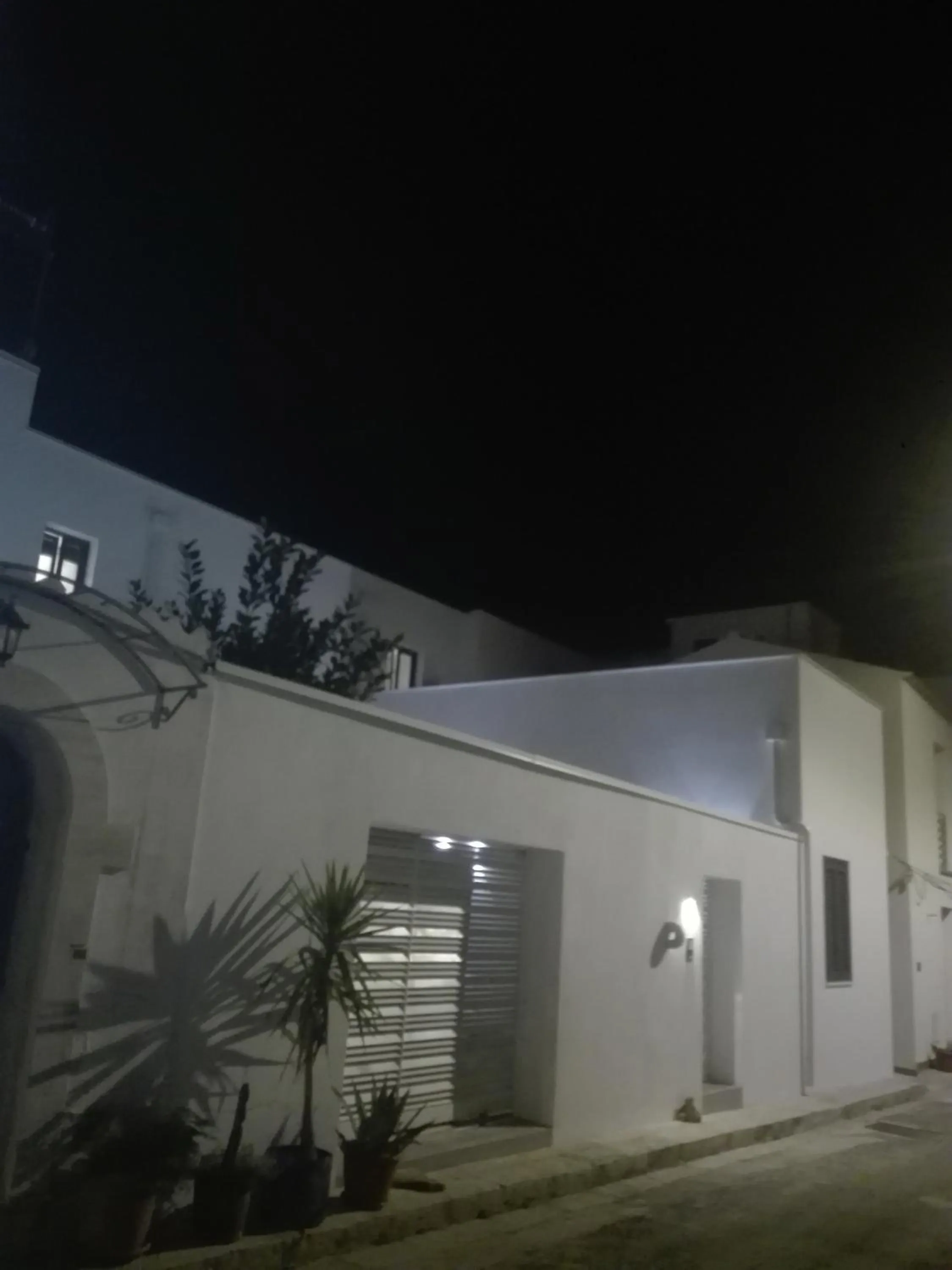 Garden in Patio 101 "Exclusive"