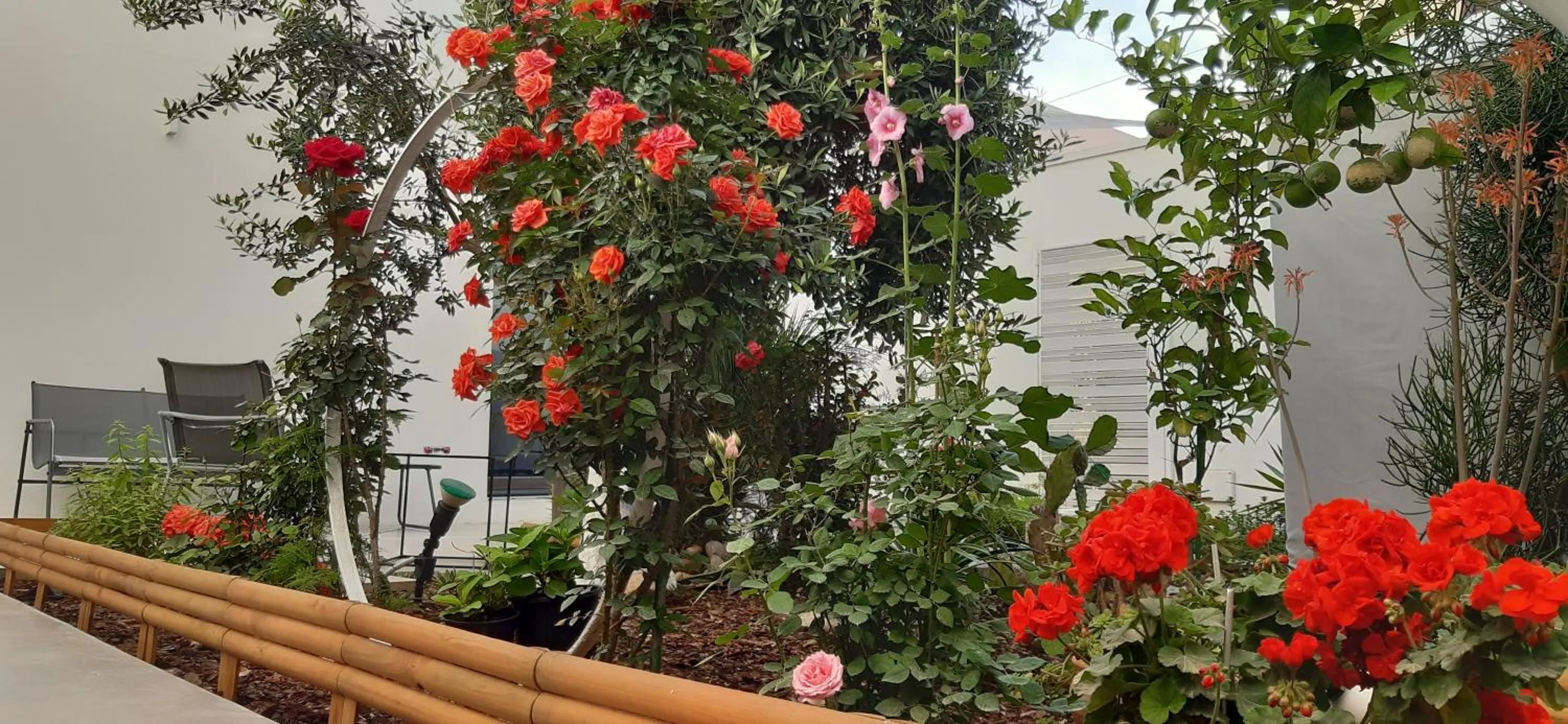 Day in Patio 101 "Exclusive"