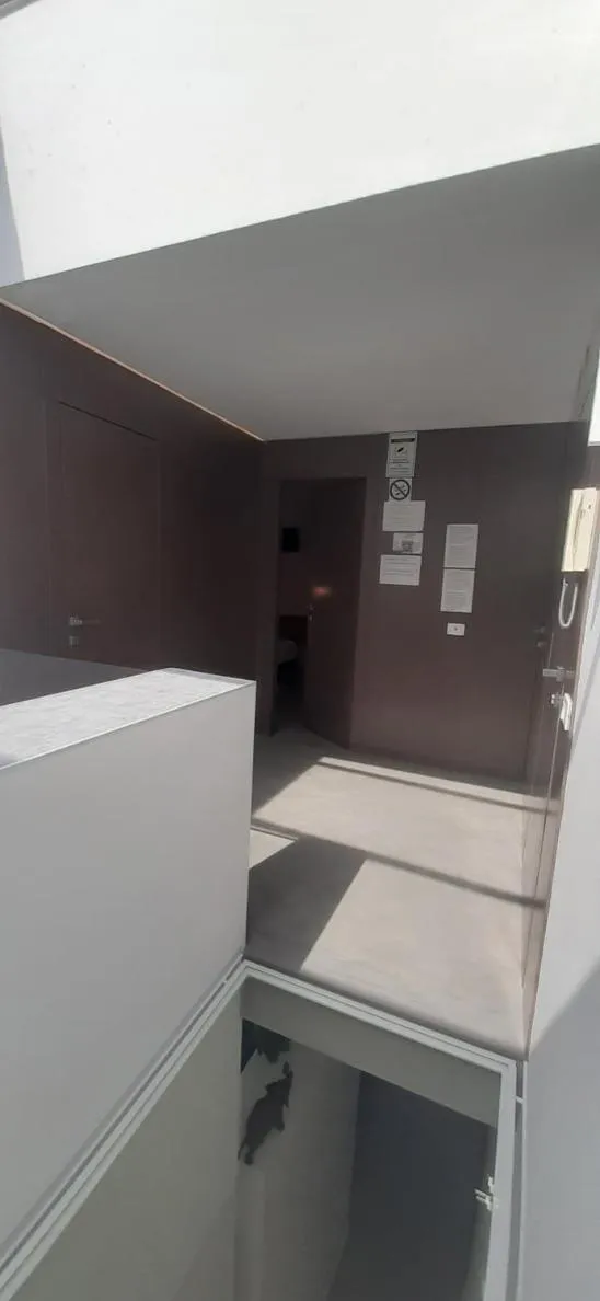 Patio 101 "Exclusive"