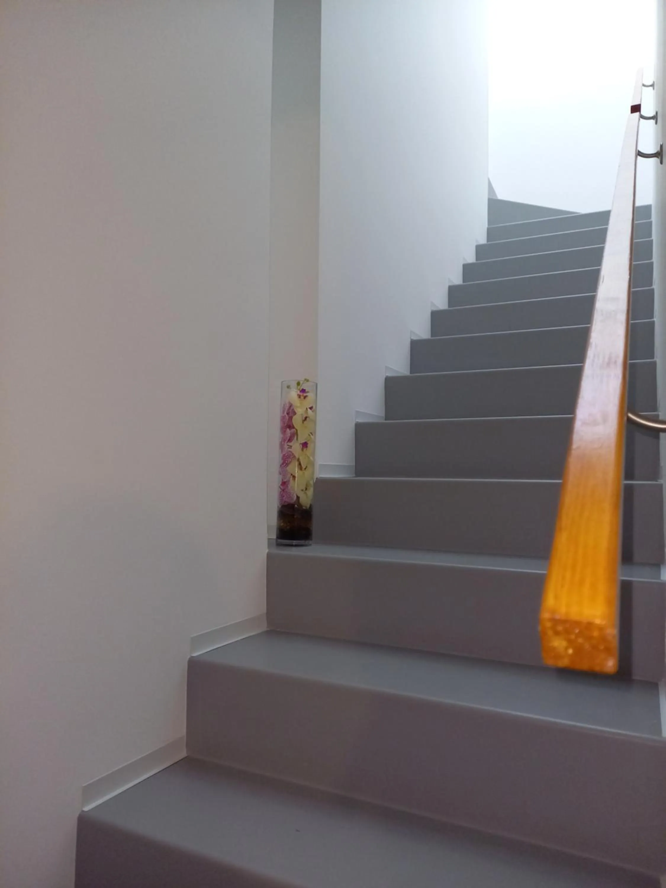 Lobby or reception in Patio 101 "Exclusive"