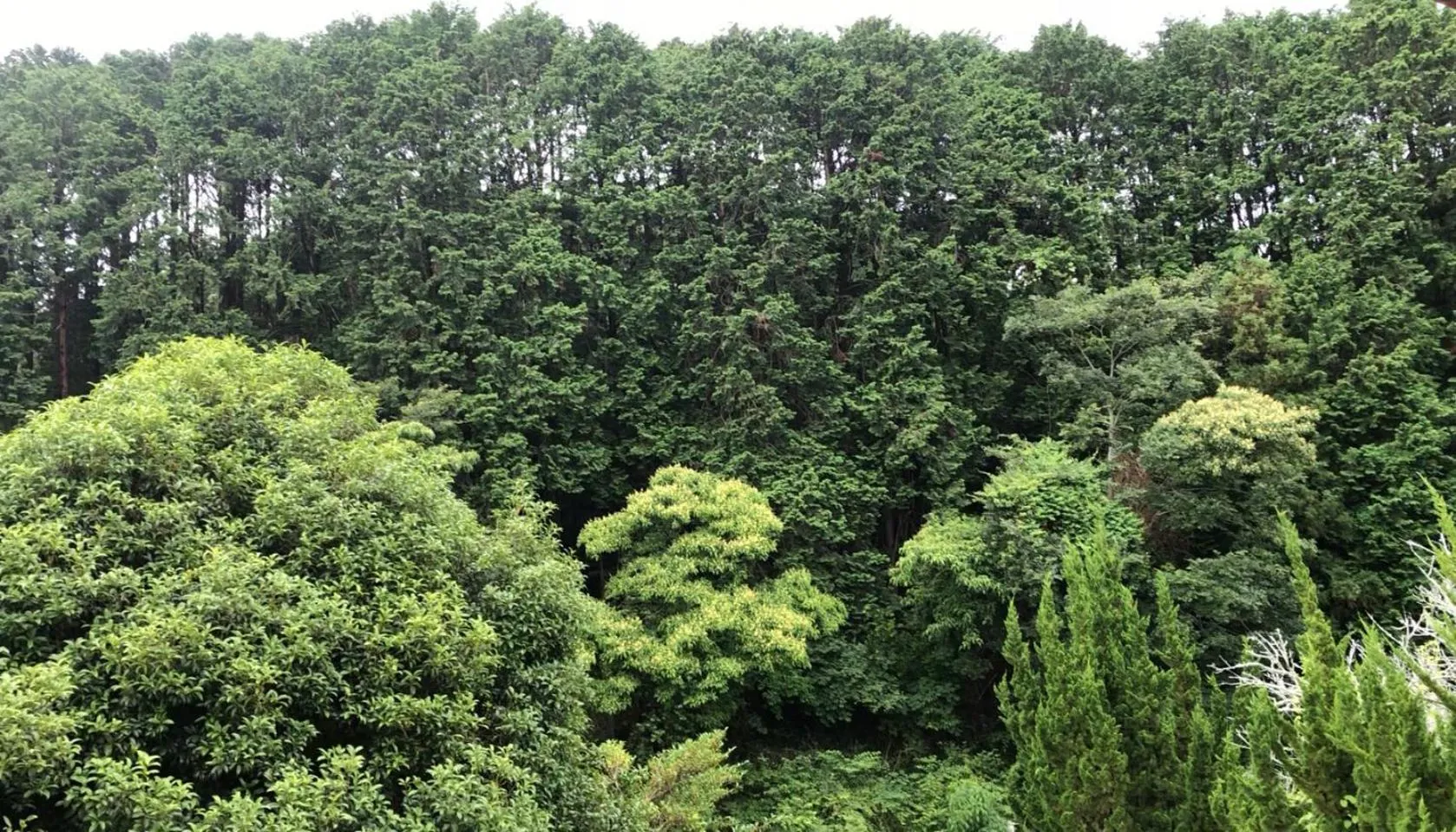 Natural landscape in Youyousanso Apartment in Mie