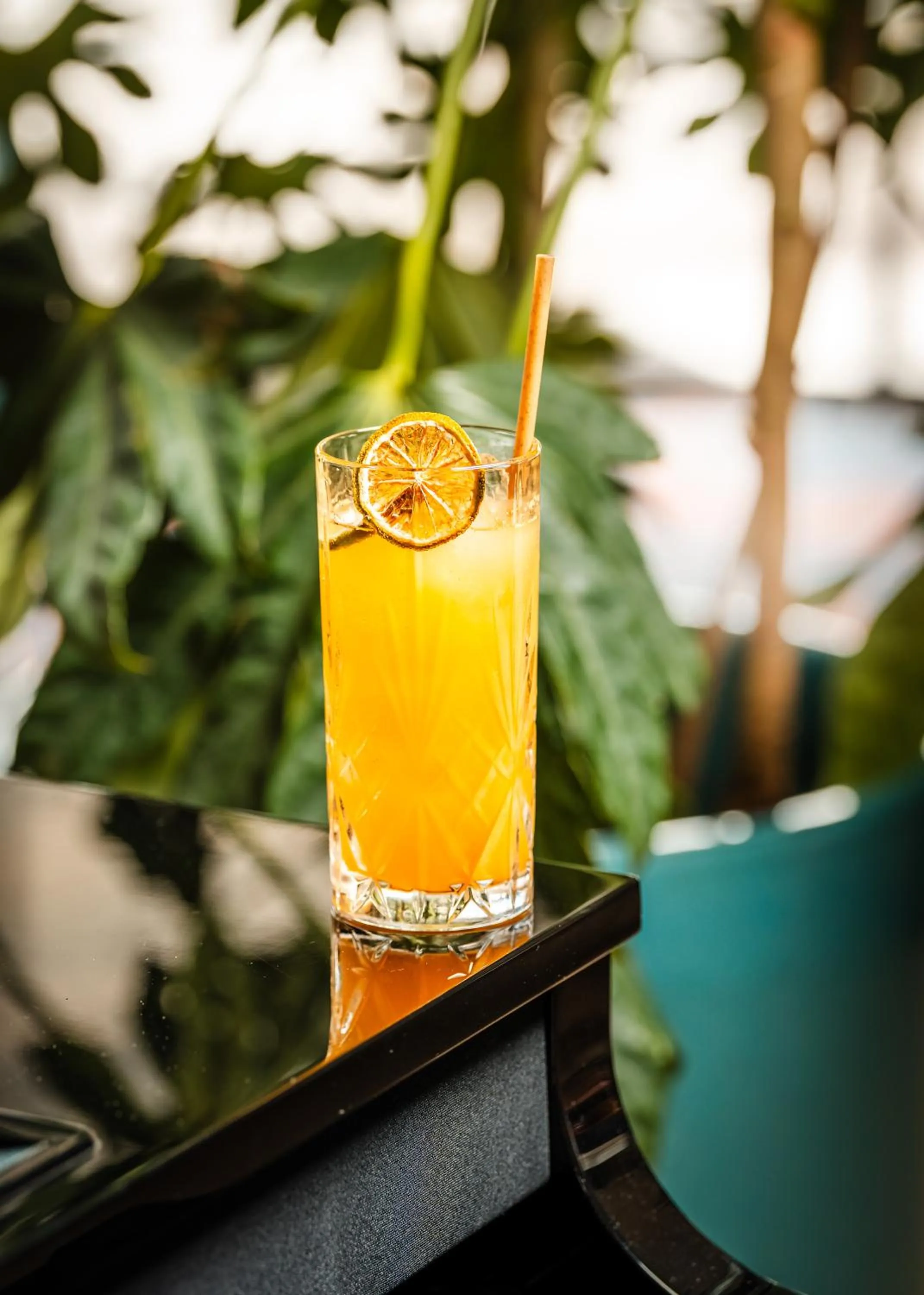 Lounge or bar in Hotel Le Grand Pavois