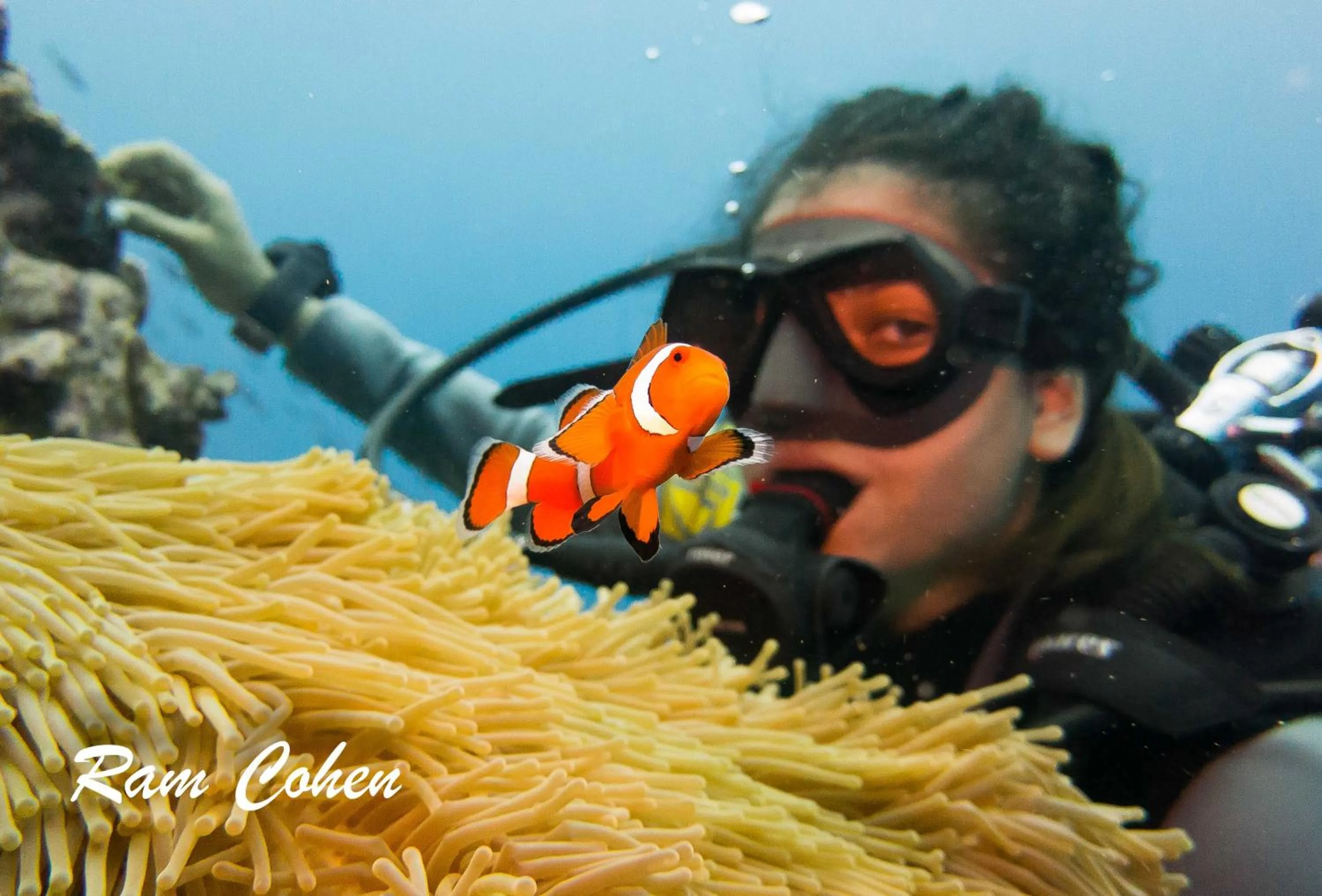 Diving in Lavanya Beach And Dive Resort