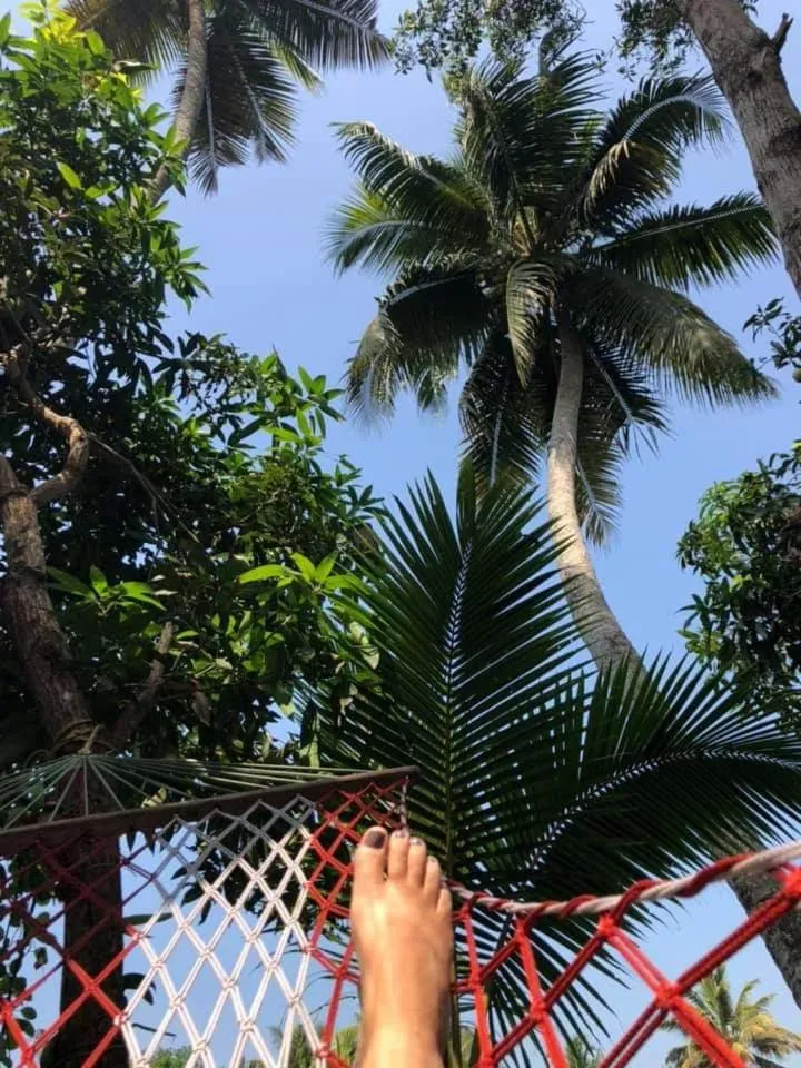 The Lake Paradise Boutique Resort