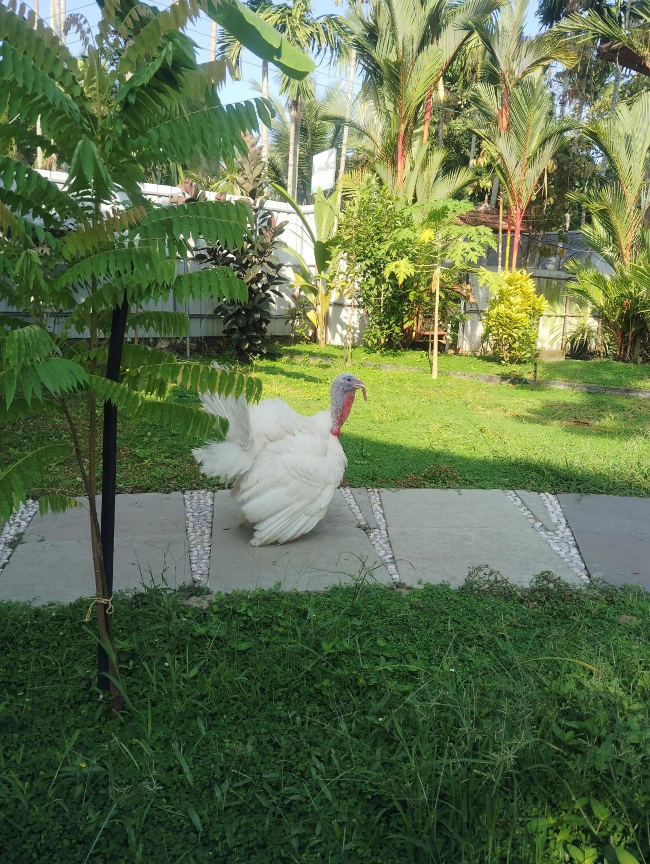 The Lake Paradise Boutique Resort