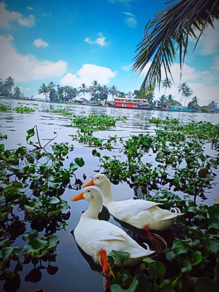 The Lake Paradise Boutique Resort