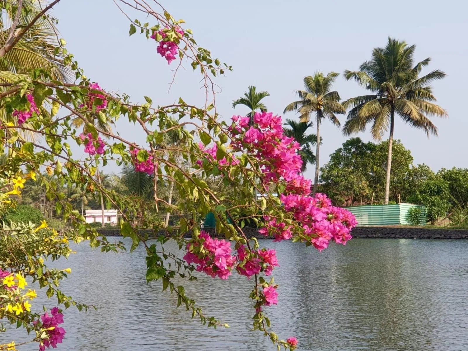 The Lake Paradise Boutique Resort