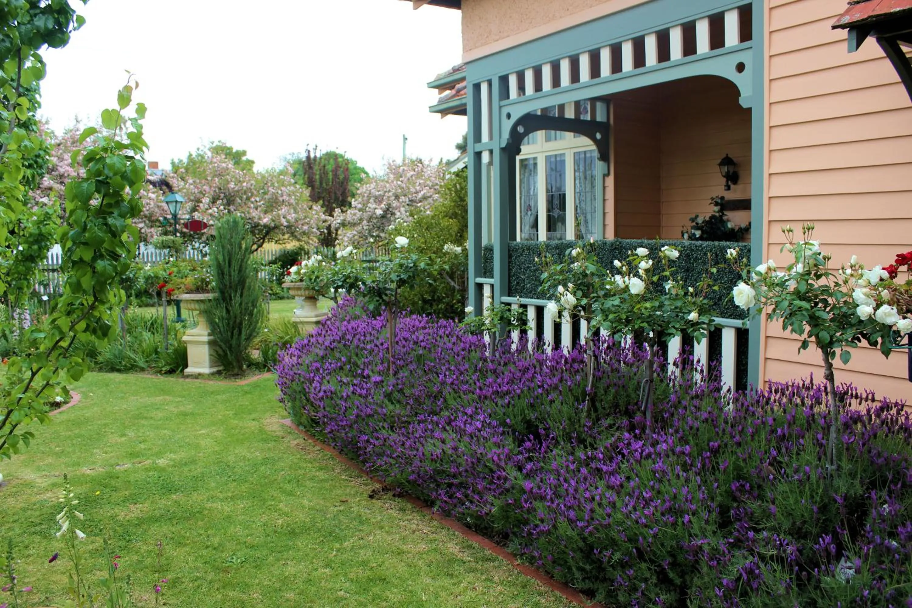 Garden in Dalfruin B&B