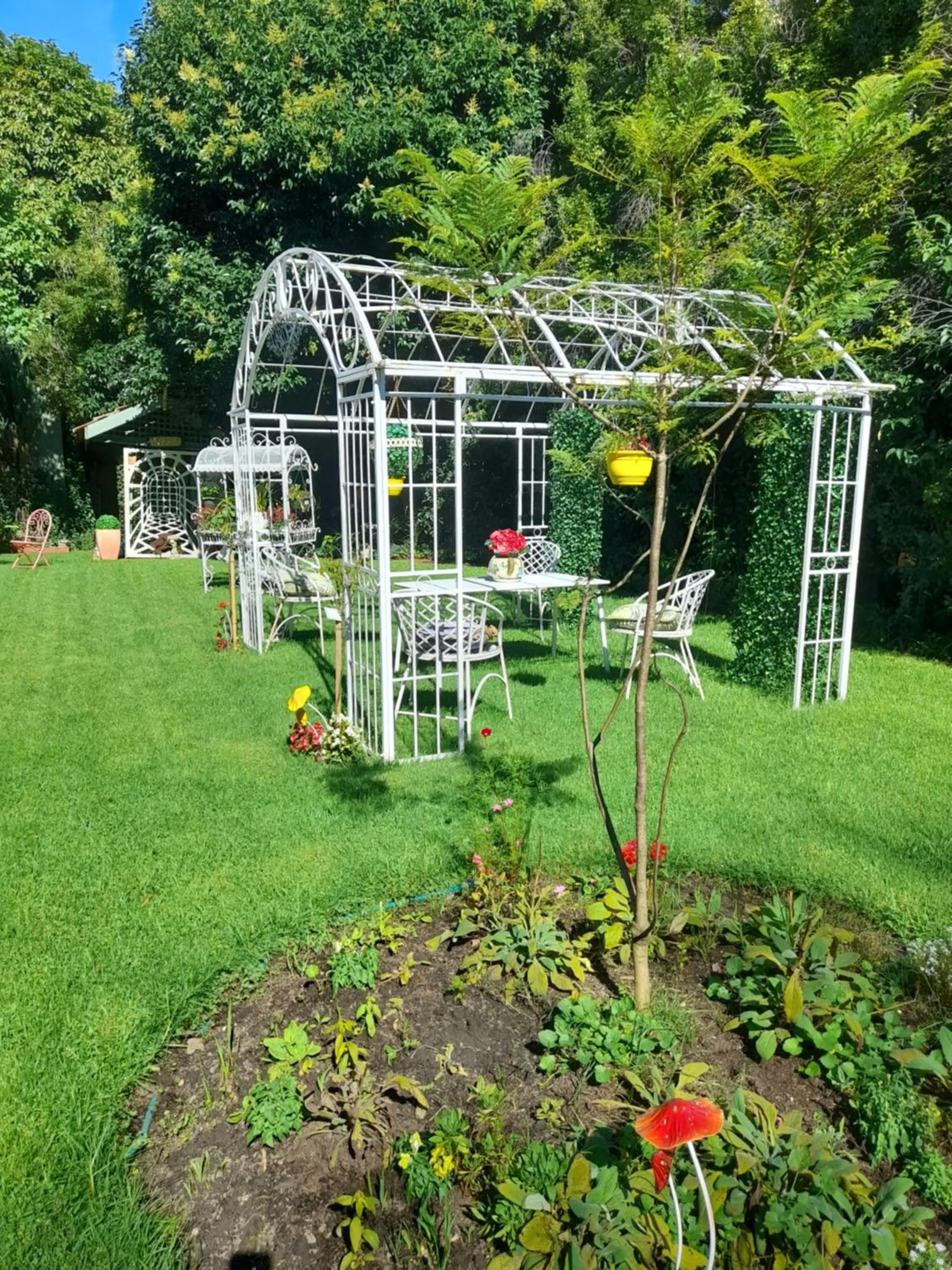 Garden in Dalfruin B&B