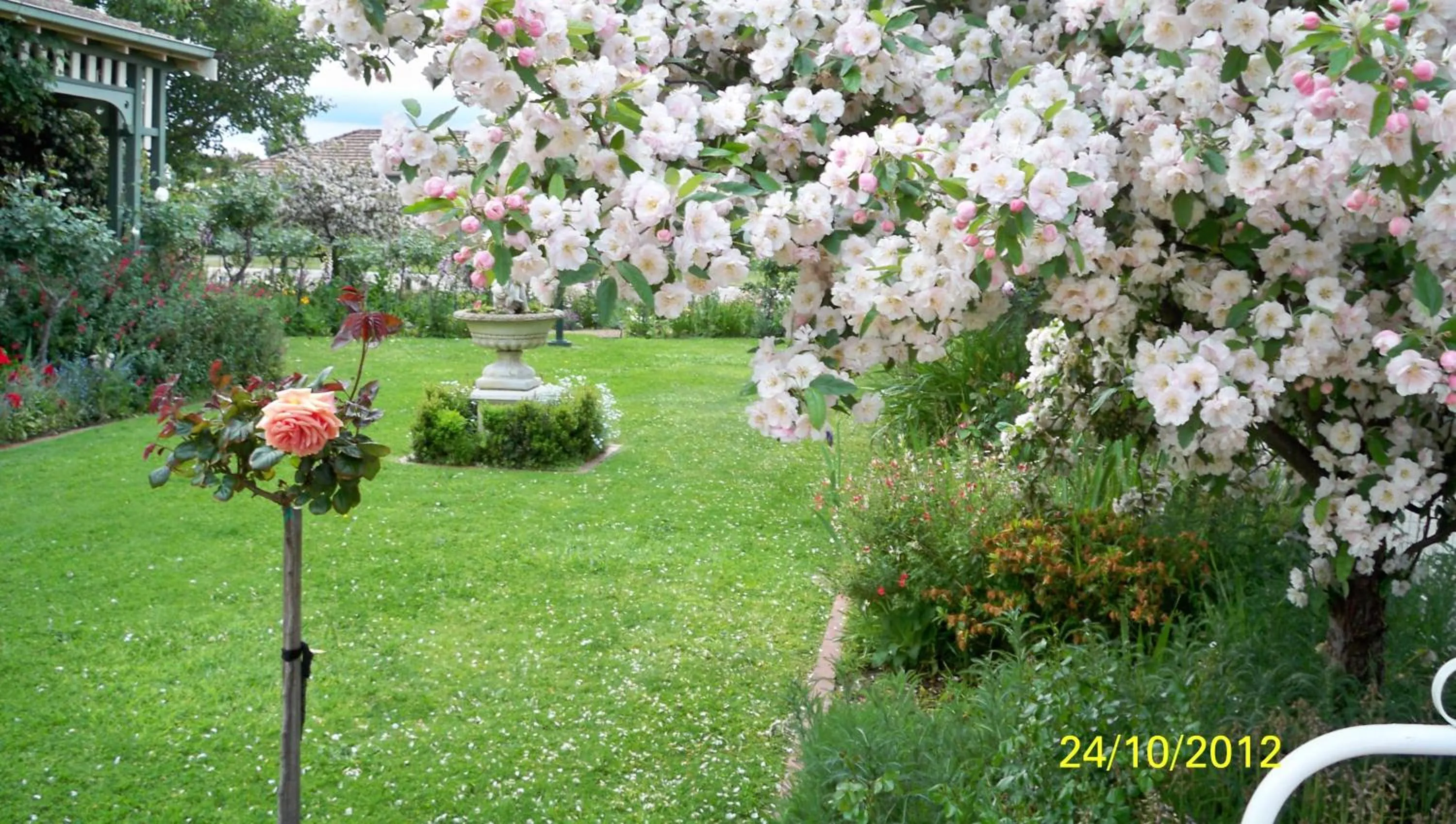 Spring in Dalfruin B&B