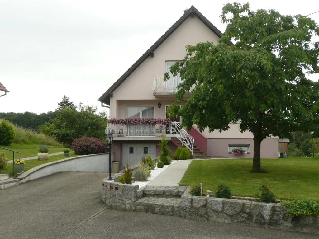 Chez Anny et Jean Au Mittelbuehl,Reichshoffen,Pays de Niederbronn les Bains