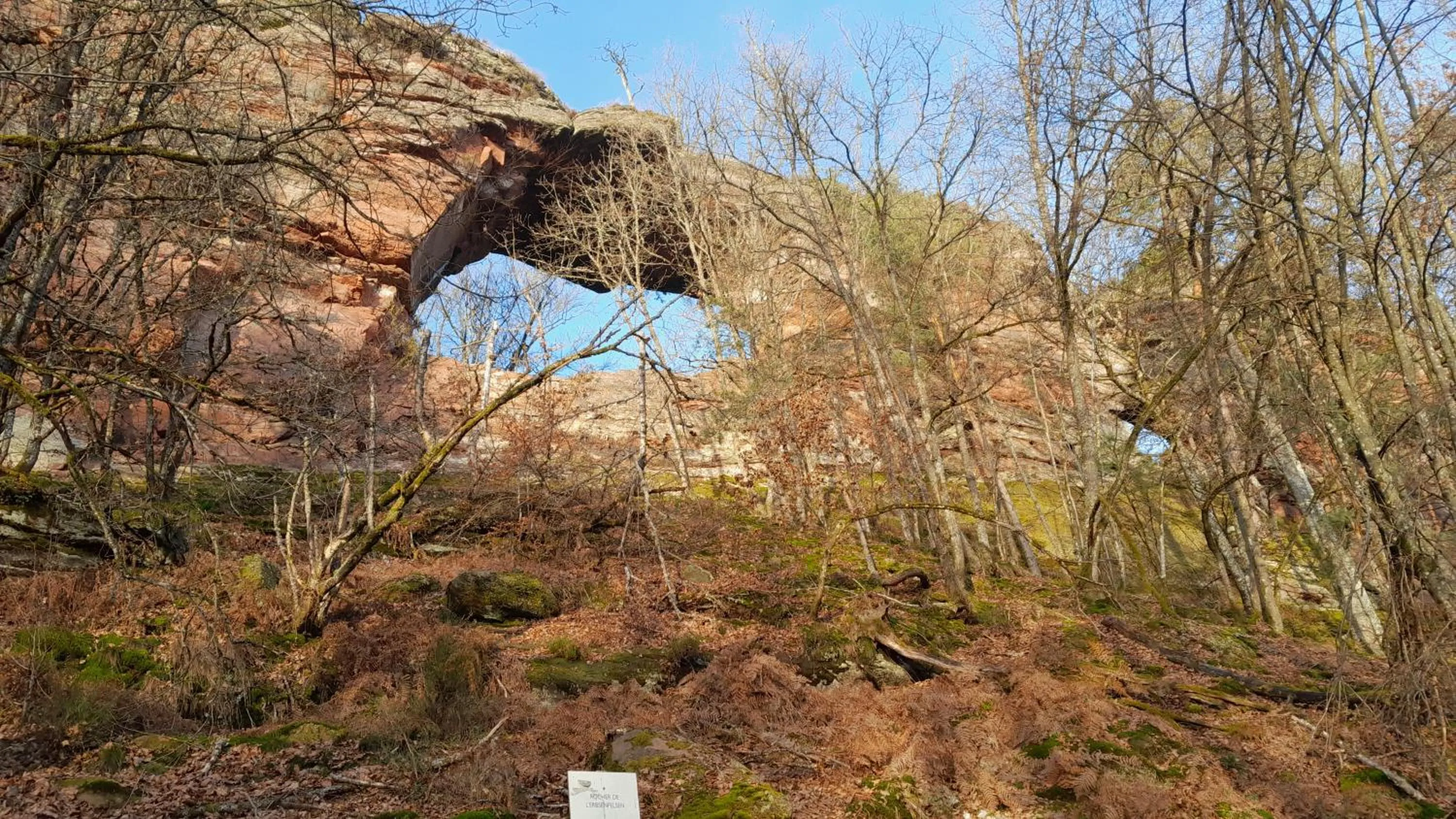 Chez Anny et Jean Au Mittelbuehl,Reichshoffen,Pays de Niederbronn les Bains