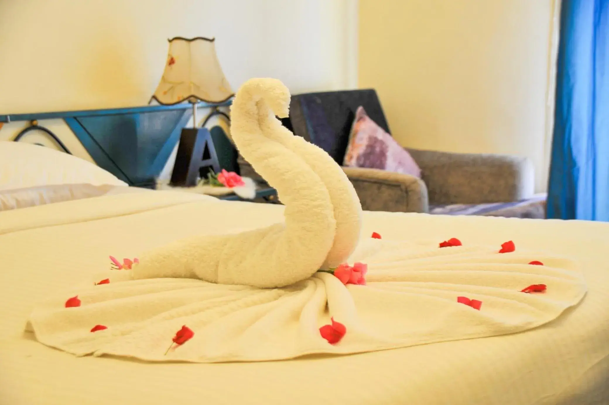 Single Room - single occupancy in New Memnon Hotel Single Room - single occupancy in New Memnon Hotel