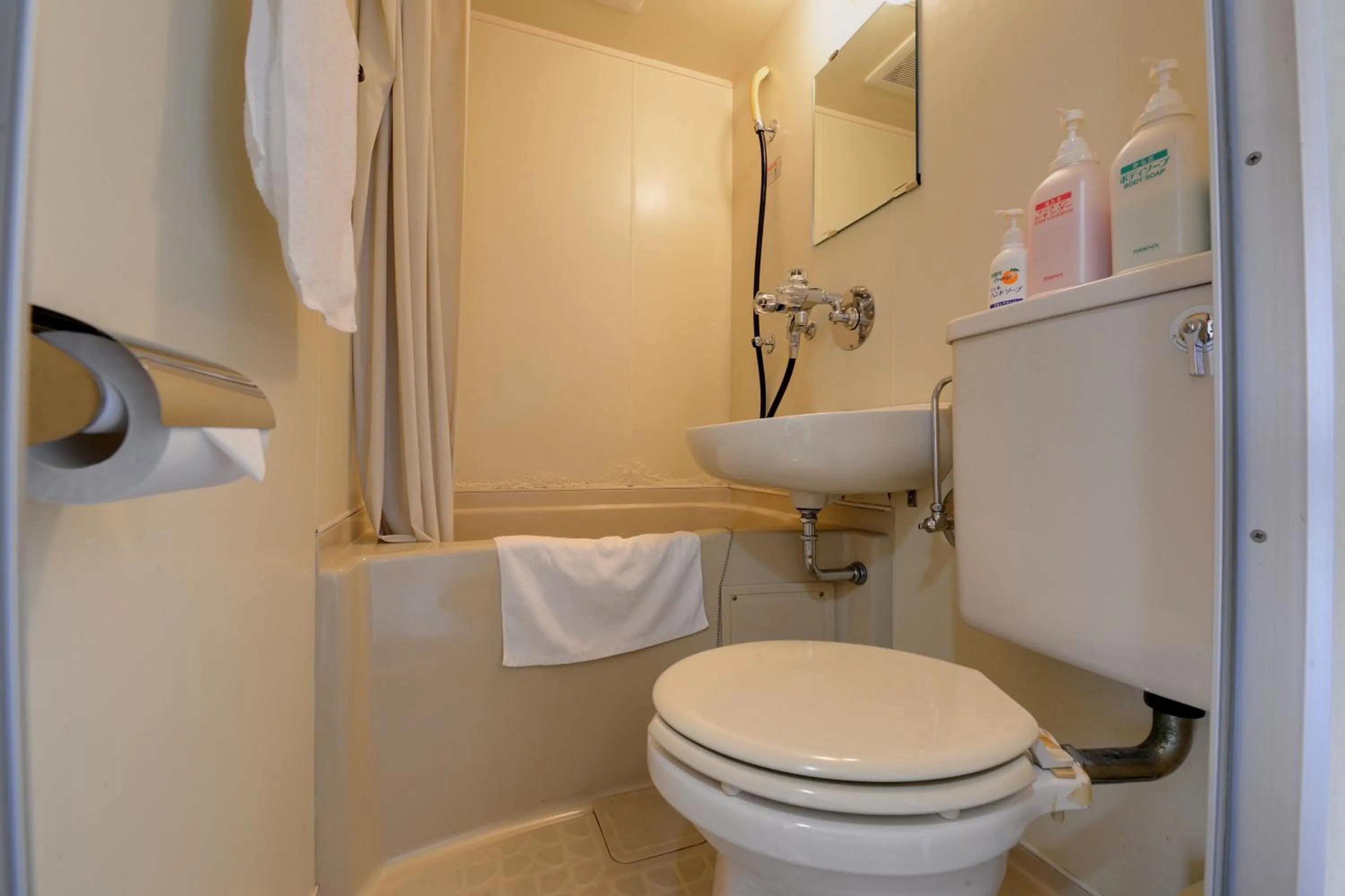 Bathroom in Hotel Oumiya