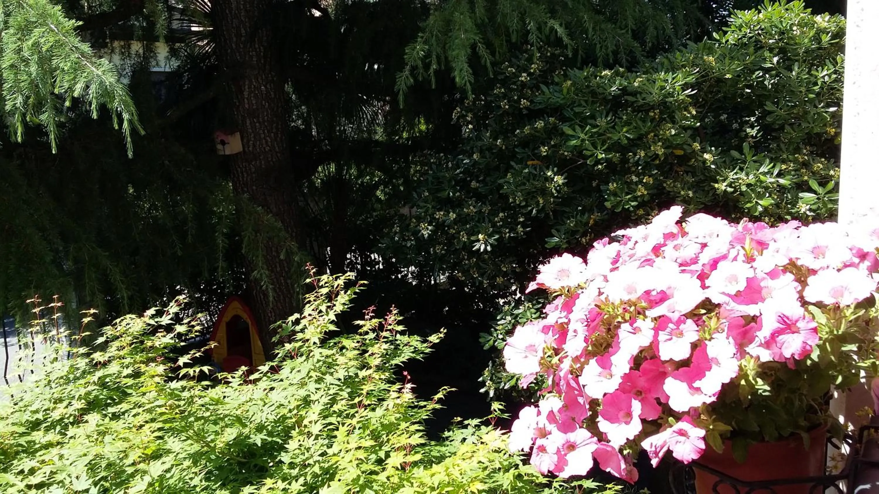 Garden in B&B Il Paiolo