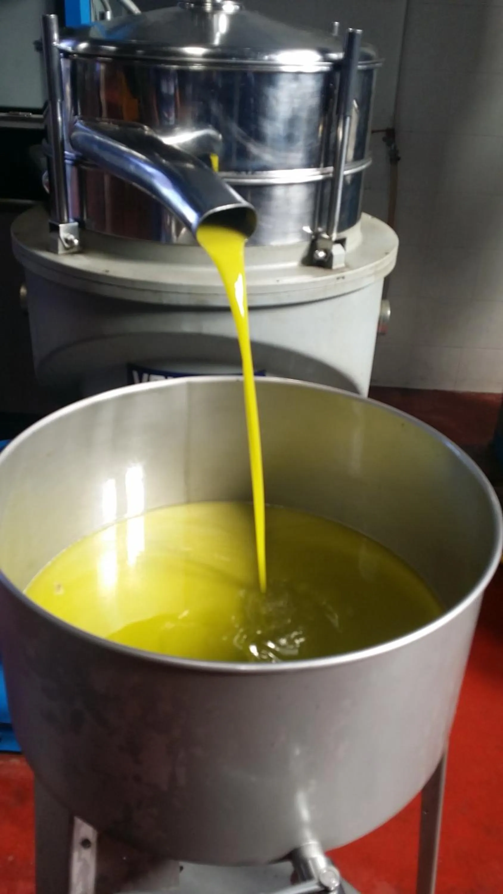 Animals in Masseria Case Damma