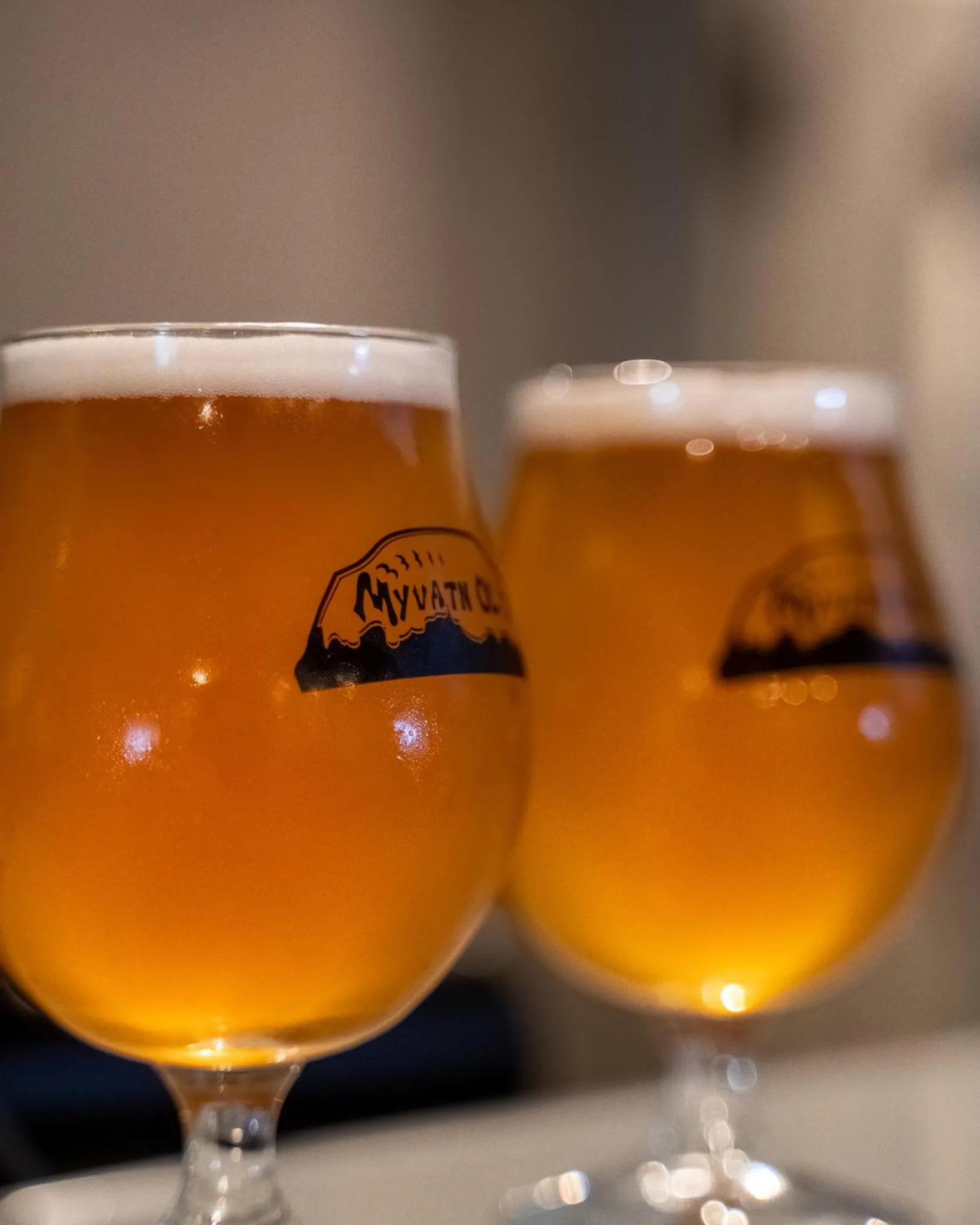 Other in Sel - Hótel Mývatn