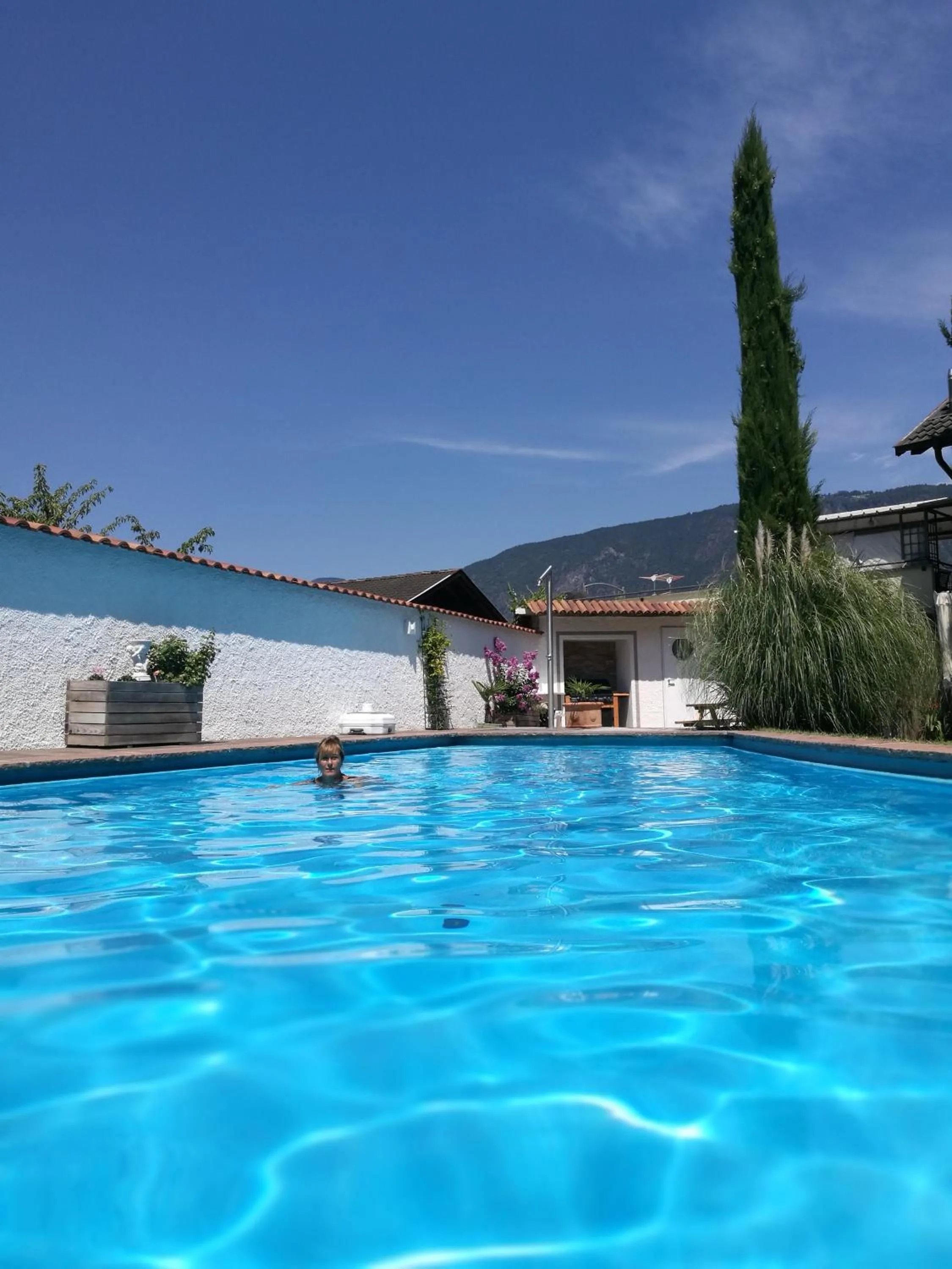 Swimming pool in Residence Reinhild