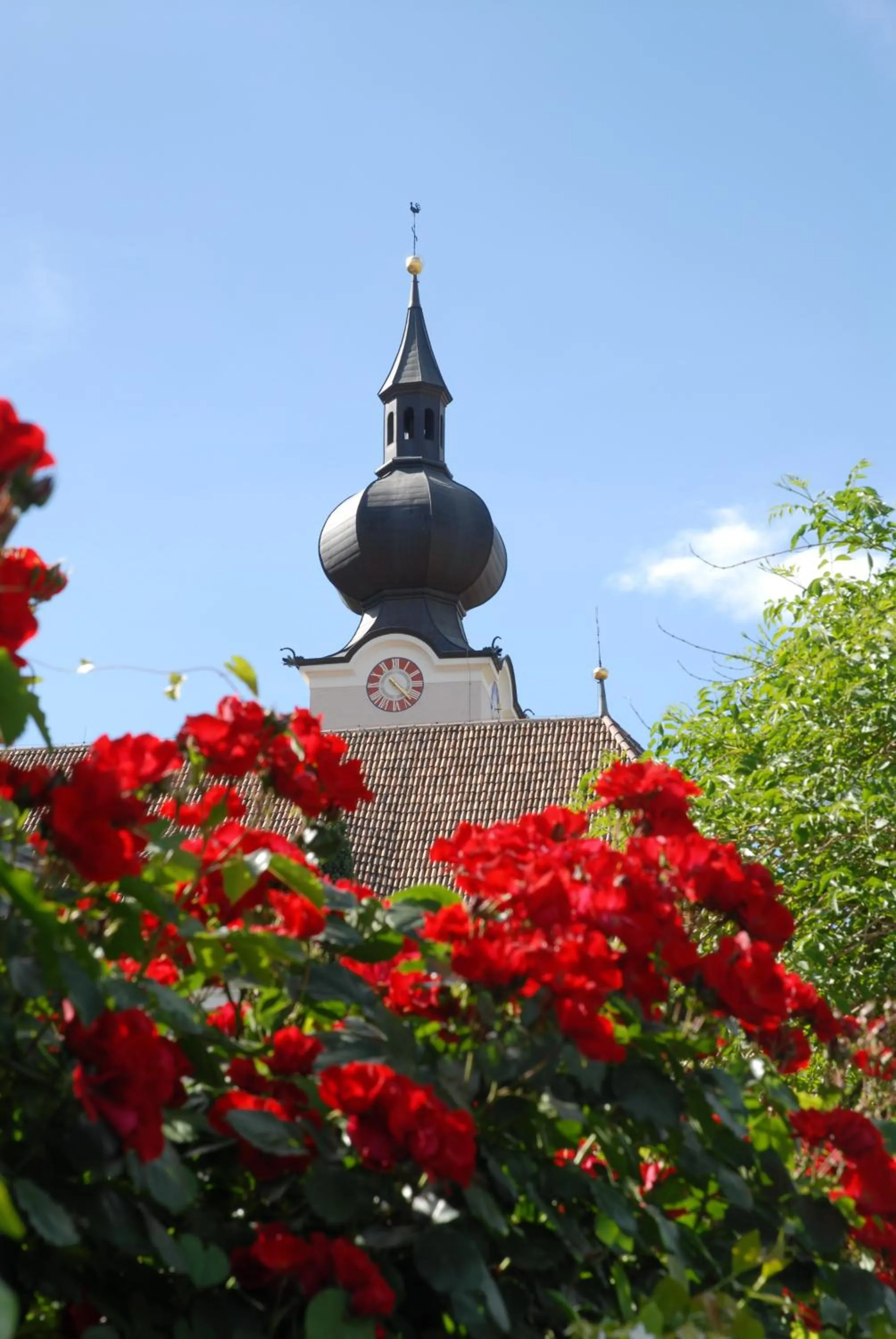 Area and facilities in Residence Reinhild