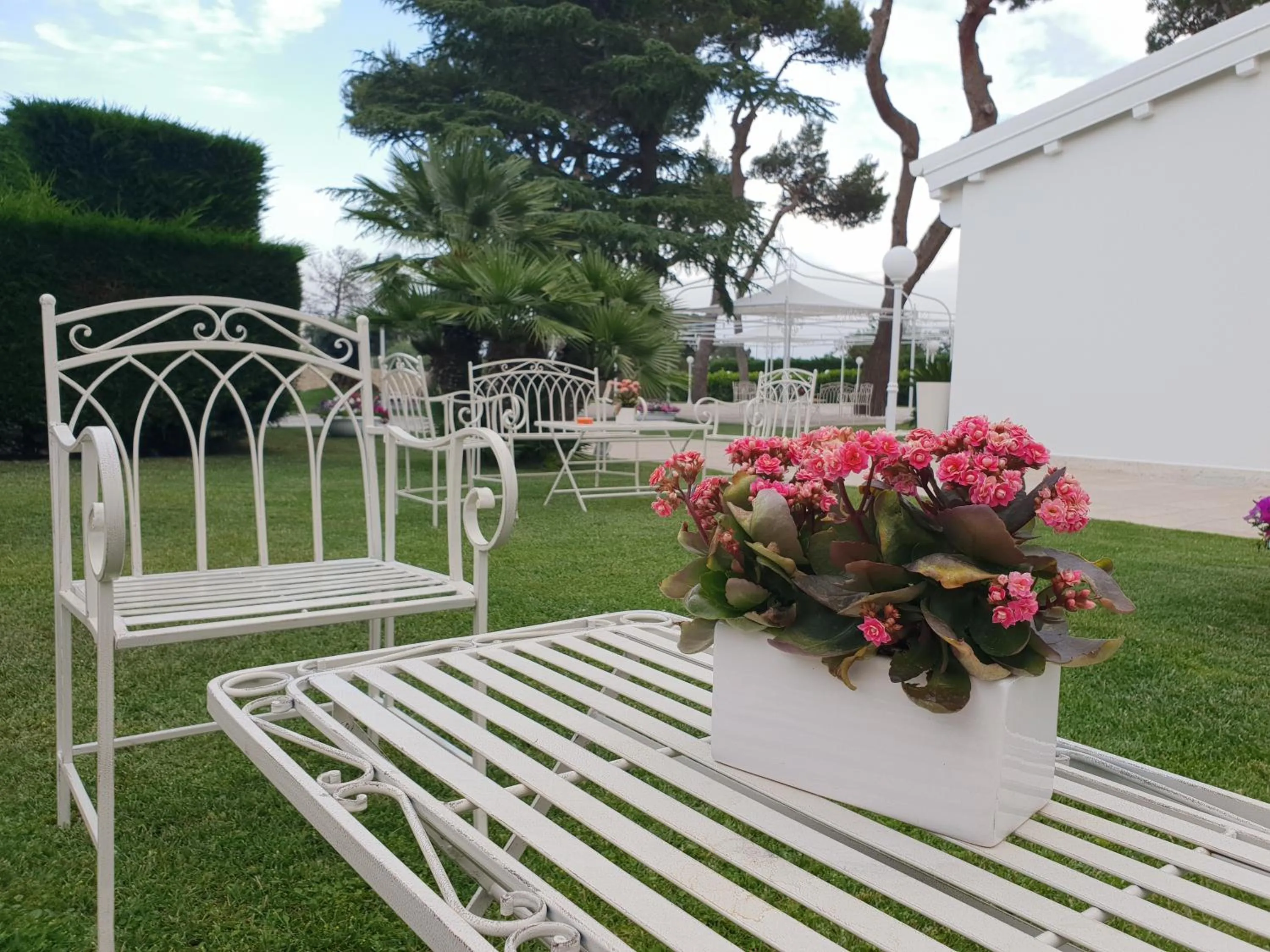 Garden in Villa Natia