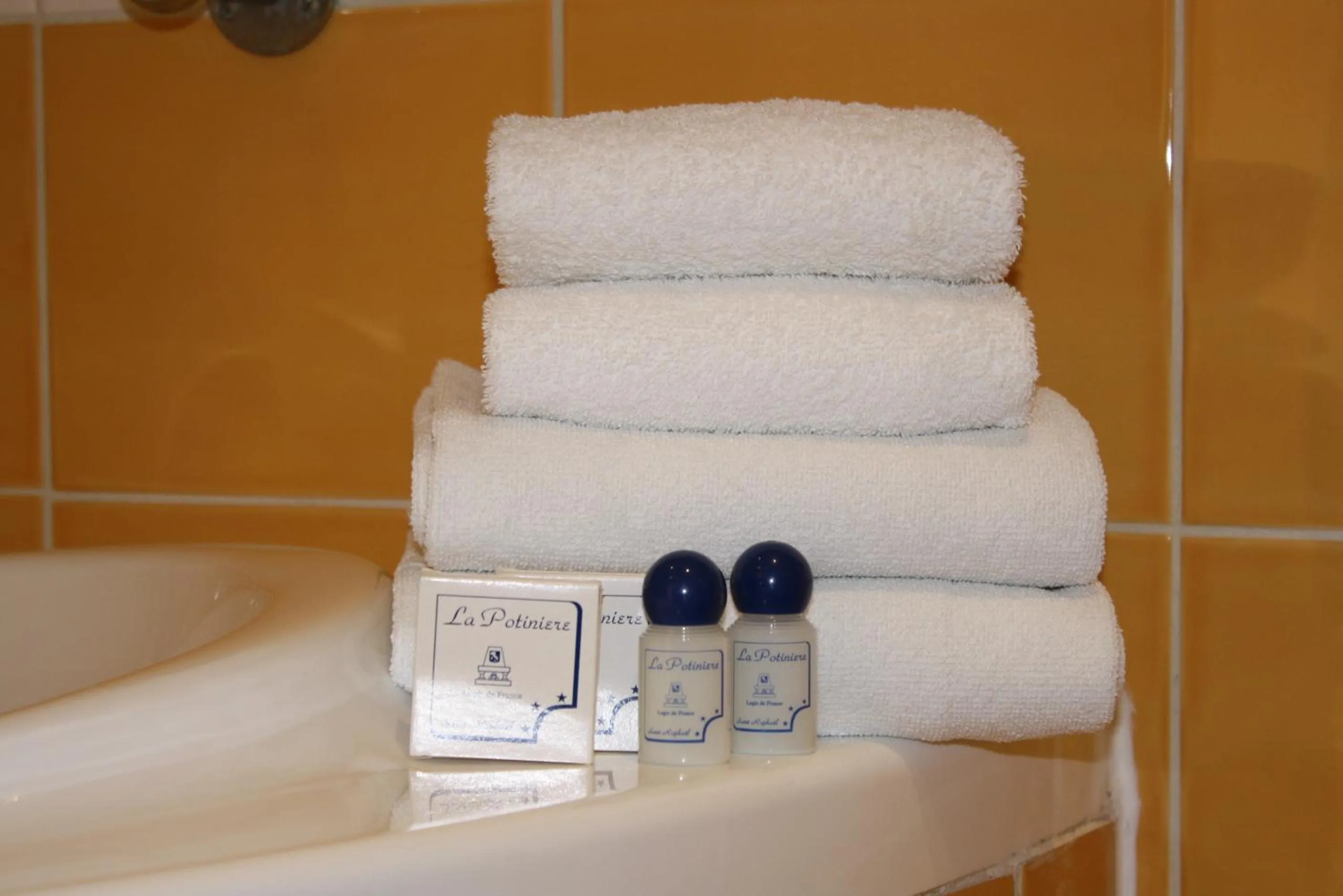 Area and facilities in Chambre d'hôtes La Potinière