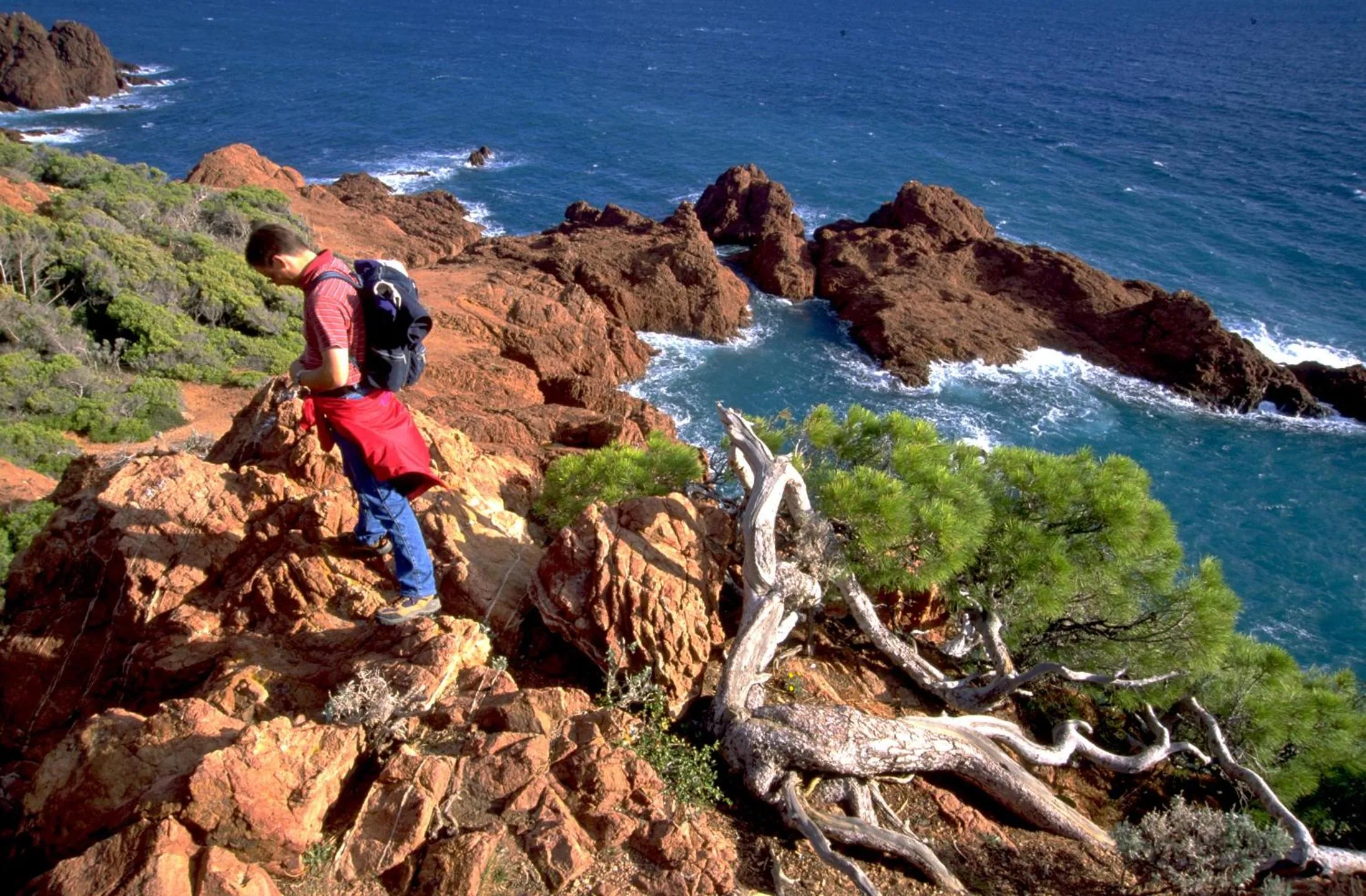 Natural landscape in Chambre d'hôtes La Potinière