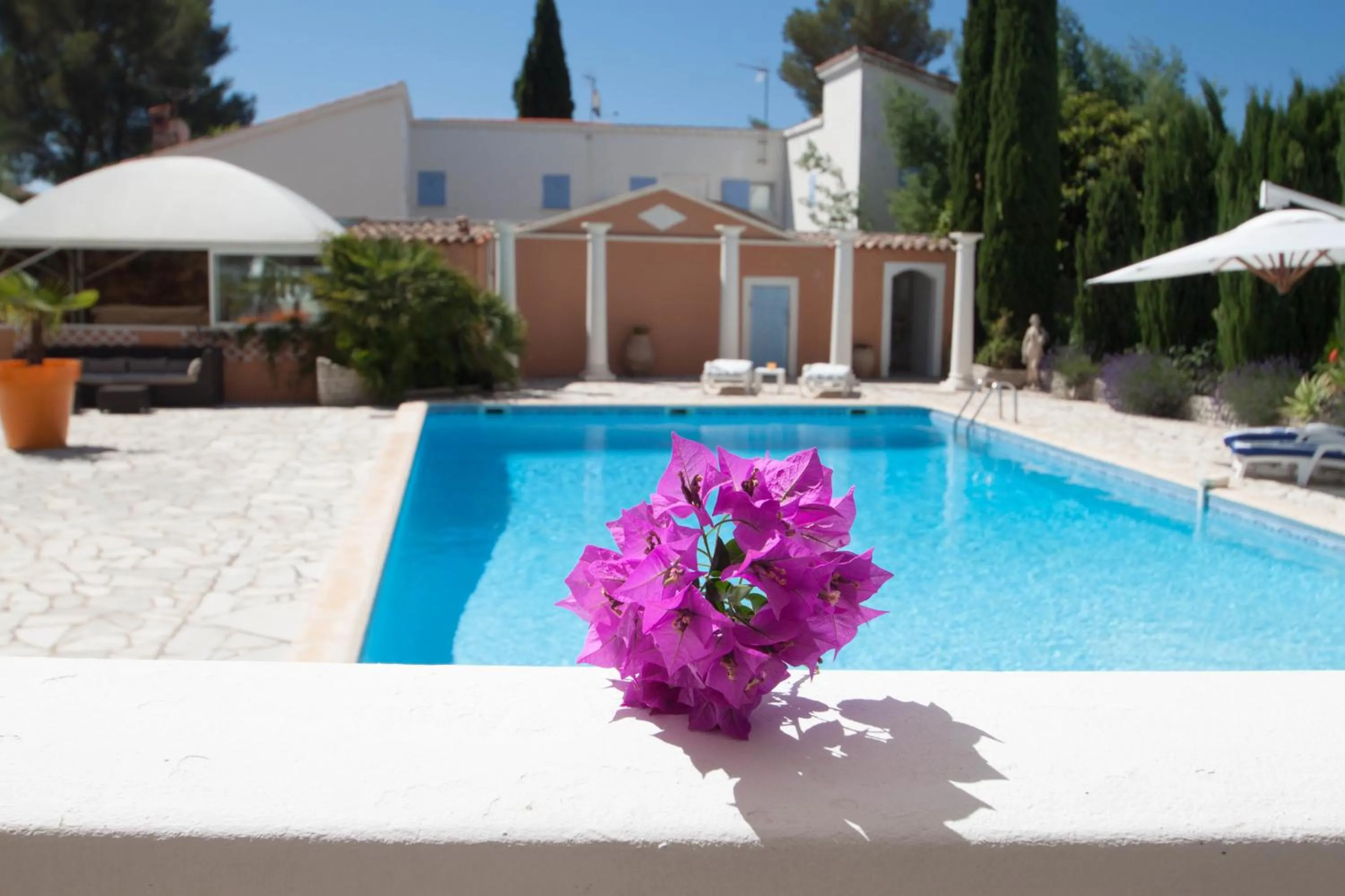 Decorative detail in Chambre d'hôtes La Potinière