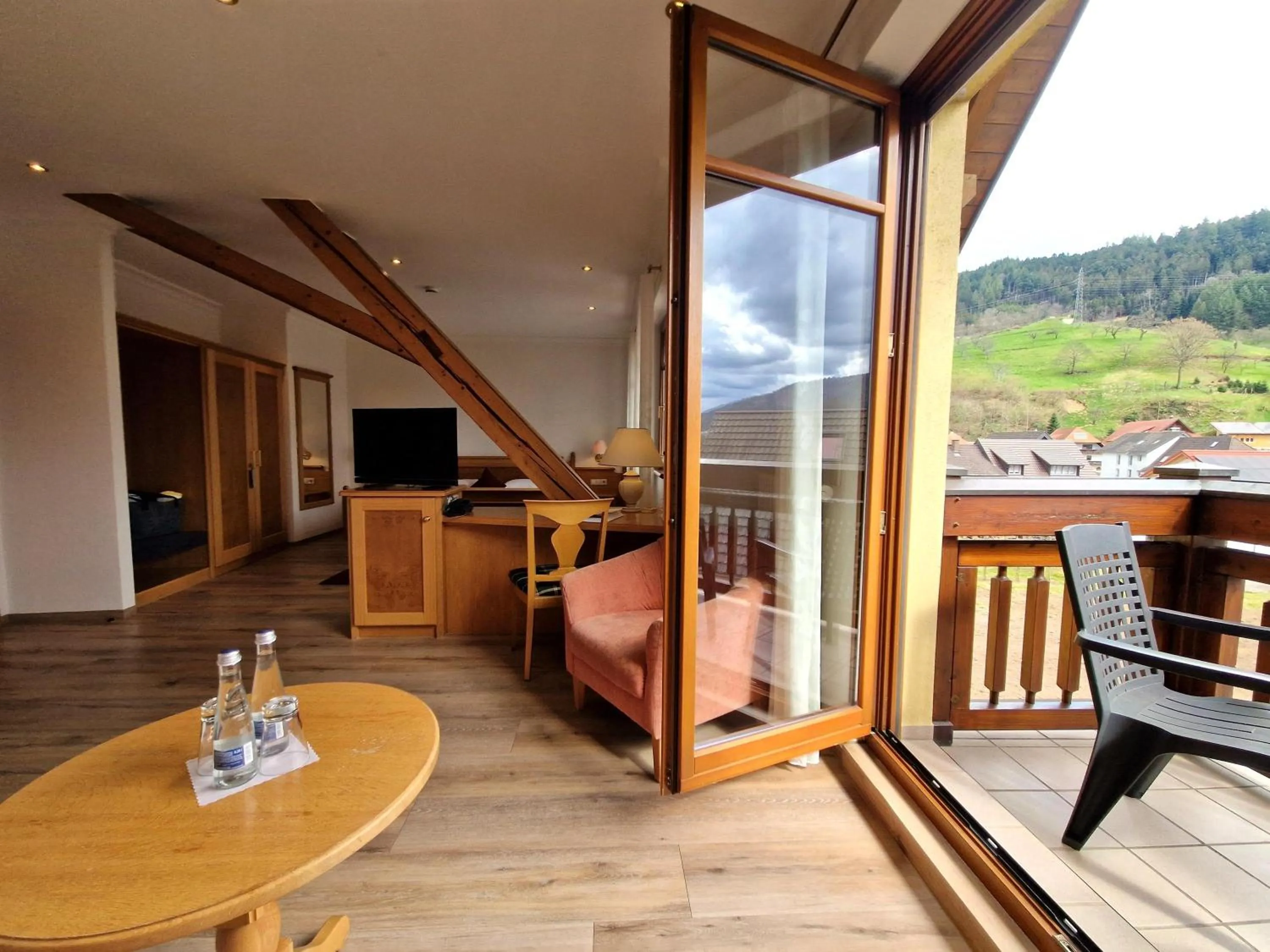 TV and multimedia in Mosers Blume Relax & Genuss Hotel