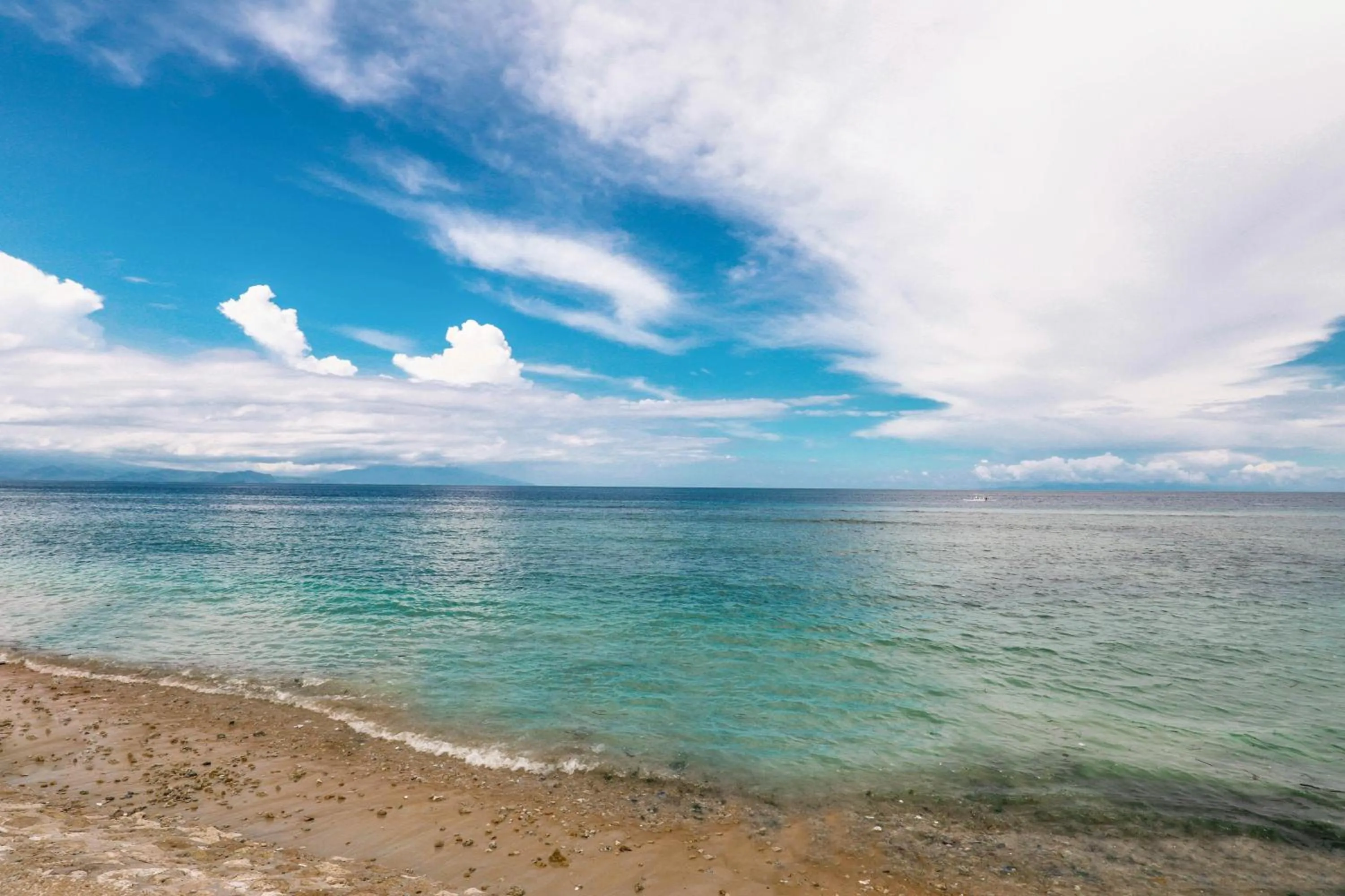 Beach in Swan Beach Inn