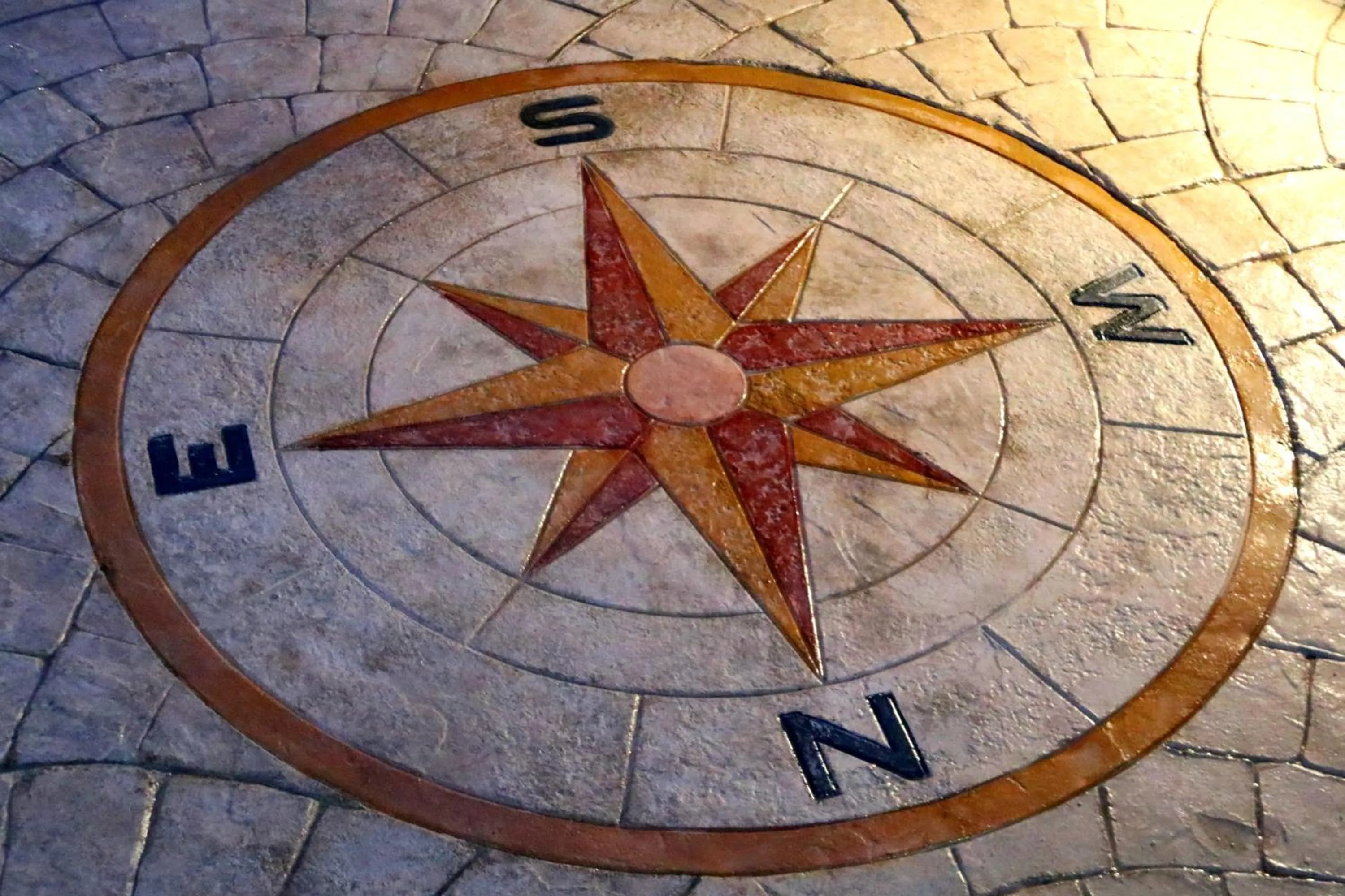 Logo/Certificate/Sign in La rosa dei venti