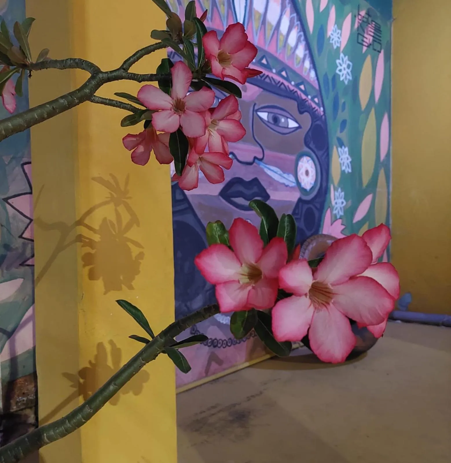 Pousada Sunset Boipeba