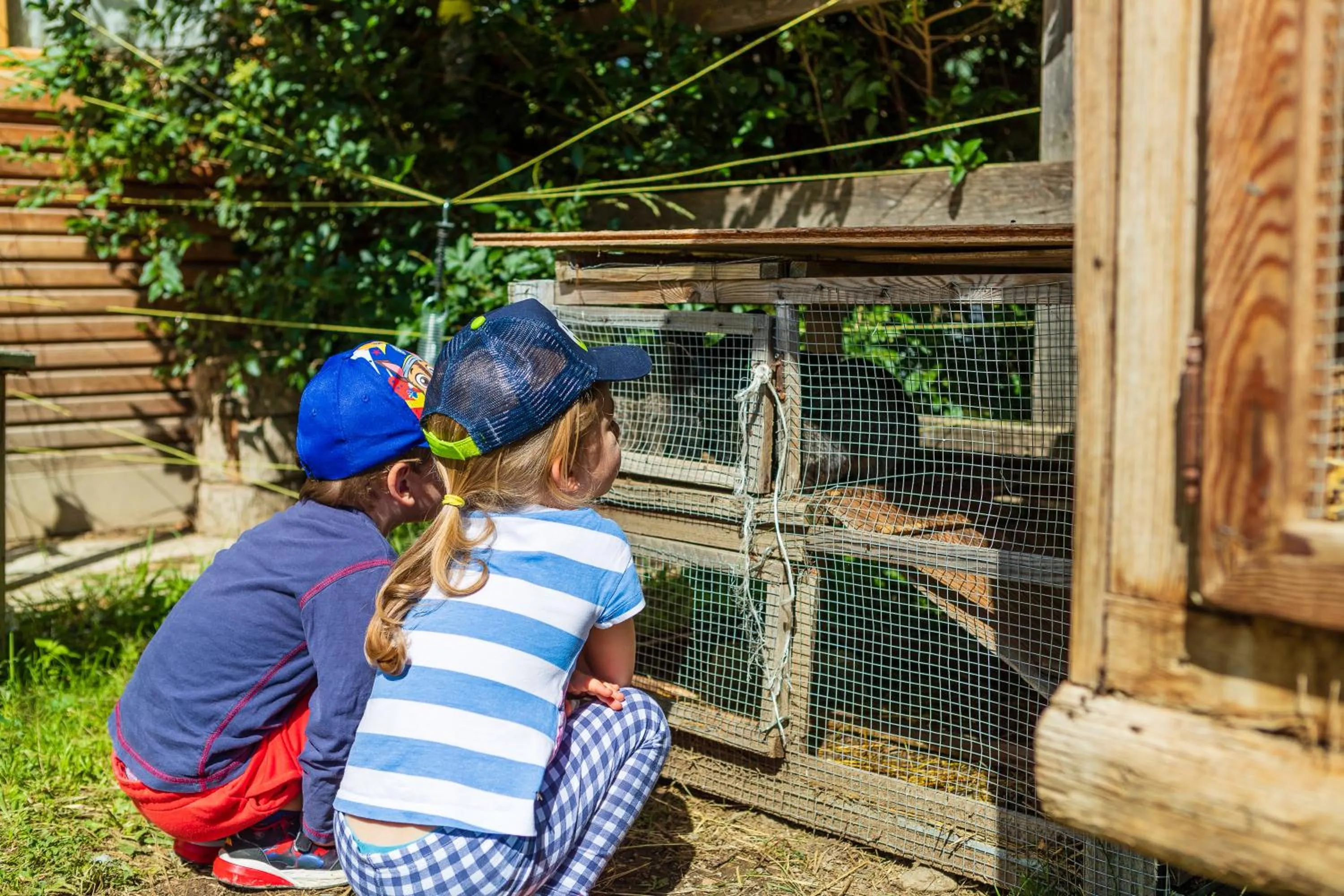 Activities in Albergo Dimaro Wellness Hotel