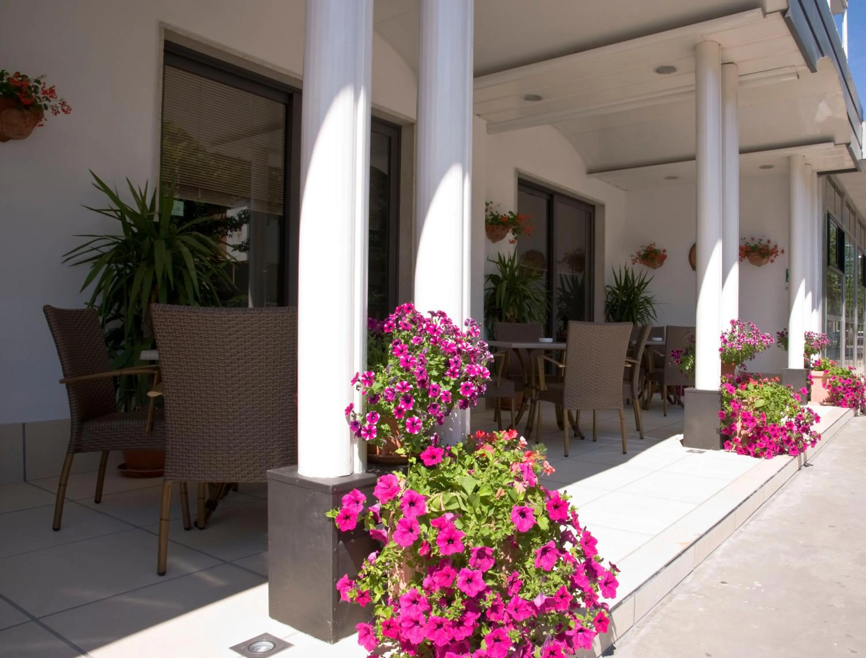 Patio in Hotel Maris Stella