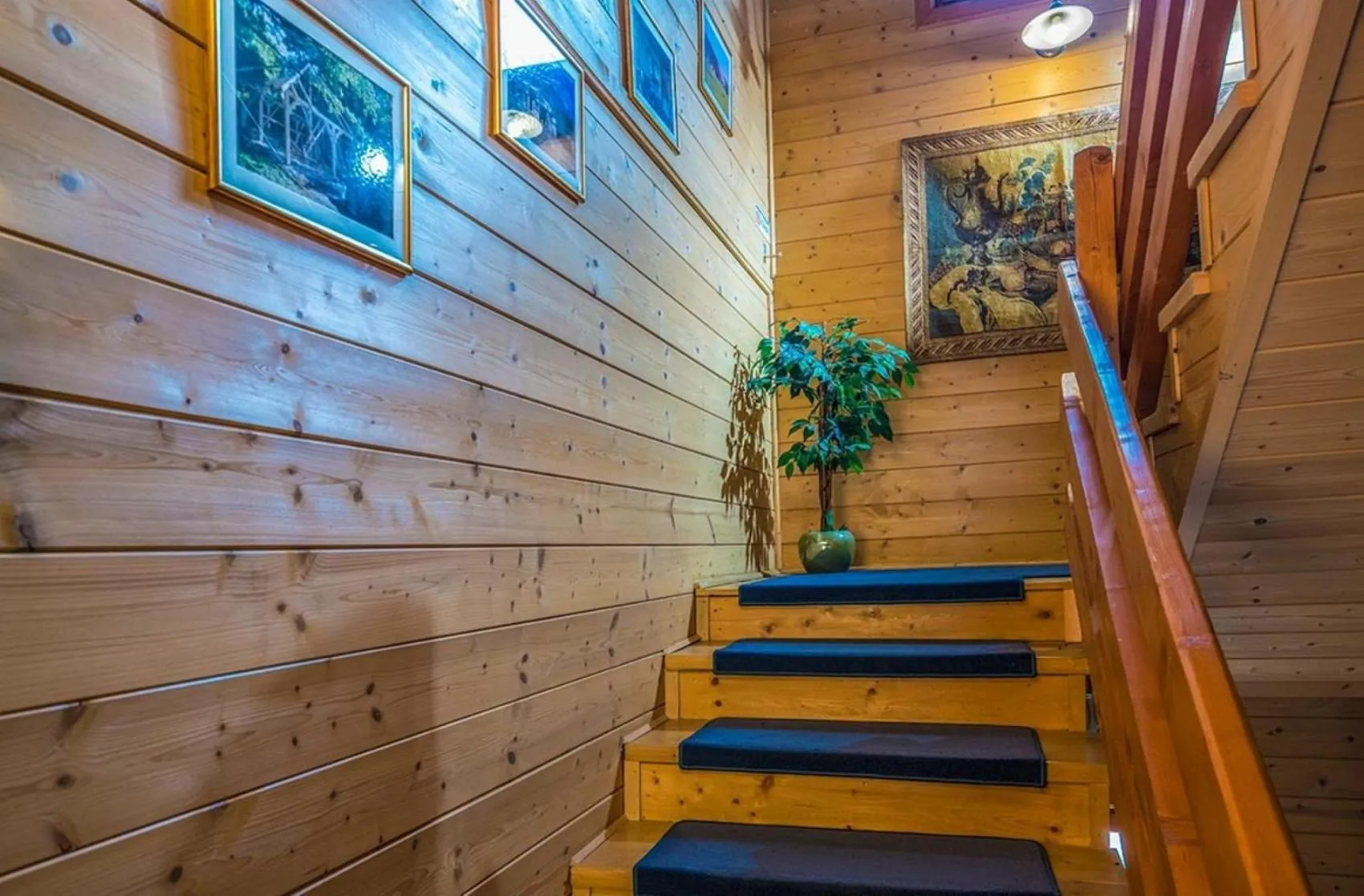 River view in Hotel Forest Hills