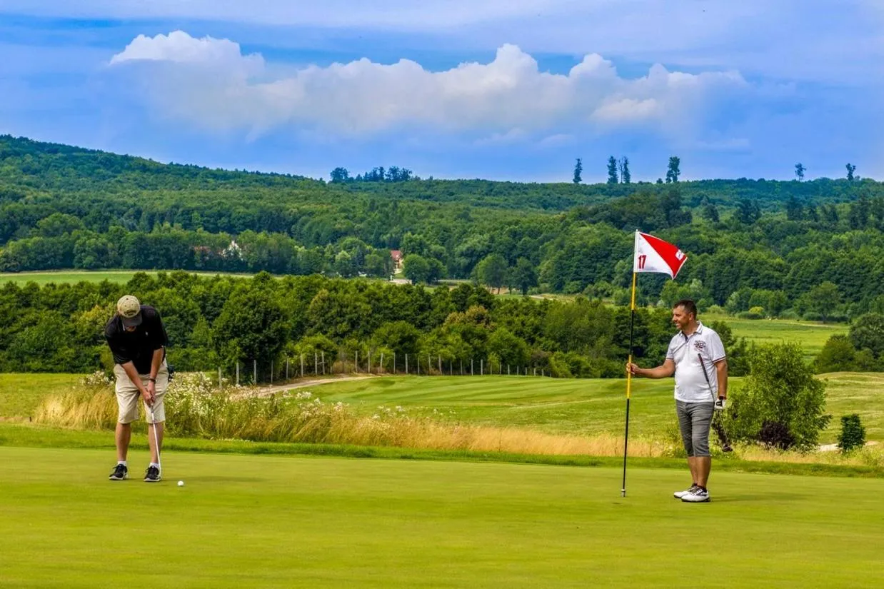 Golfcourse in Hotel Forest Hills