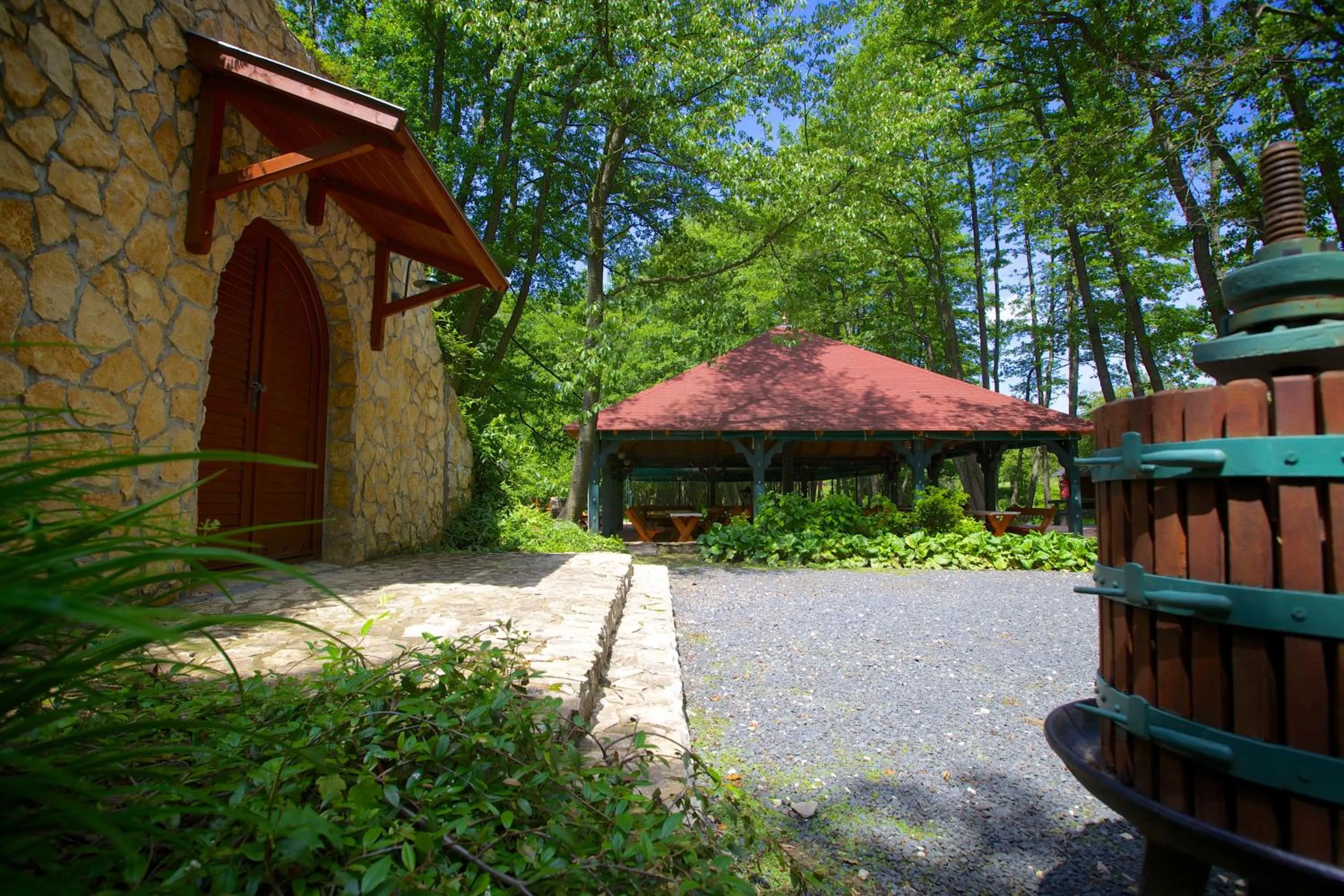 Garden in Hotel Forest Hills