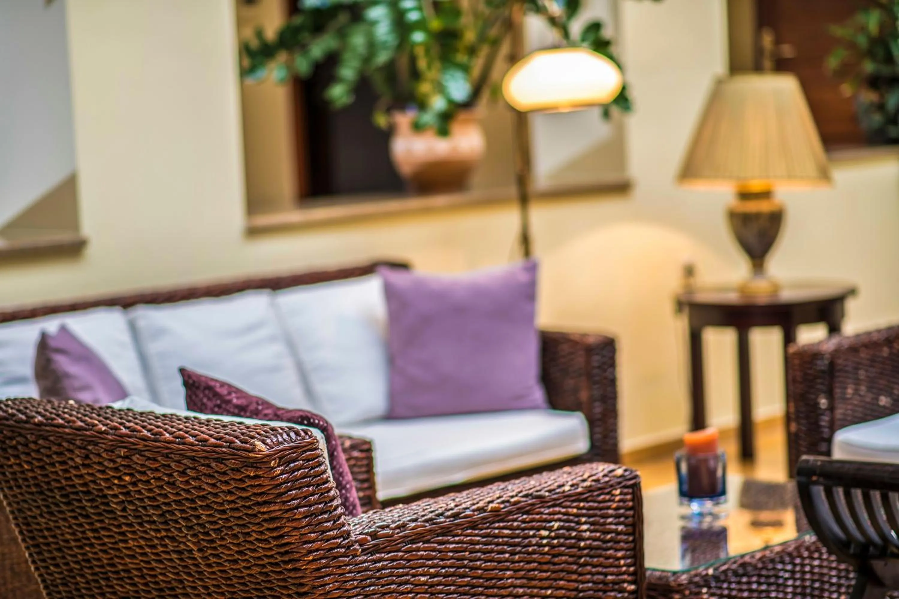 Lounge or bar in Hotel Forest Hills