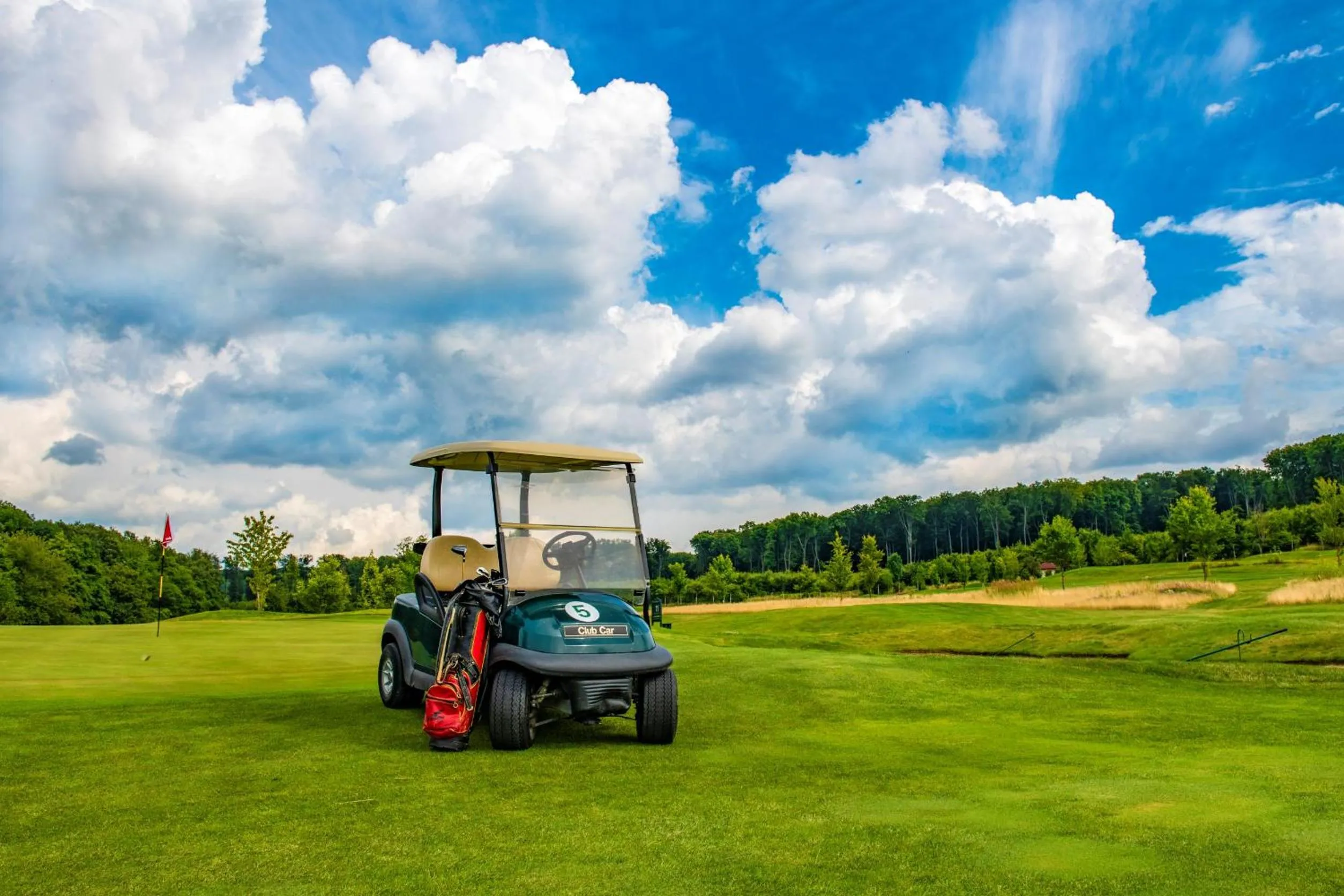 Golfcourse in Hotel Forest Hills