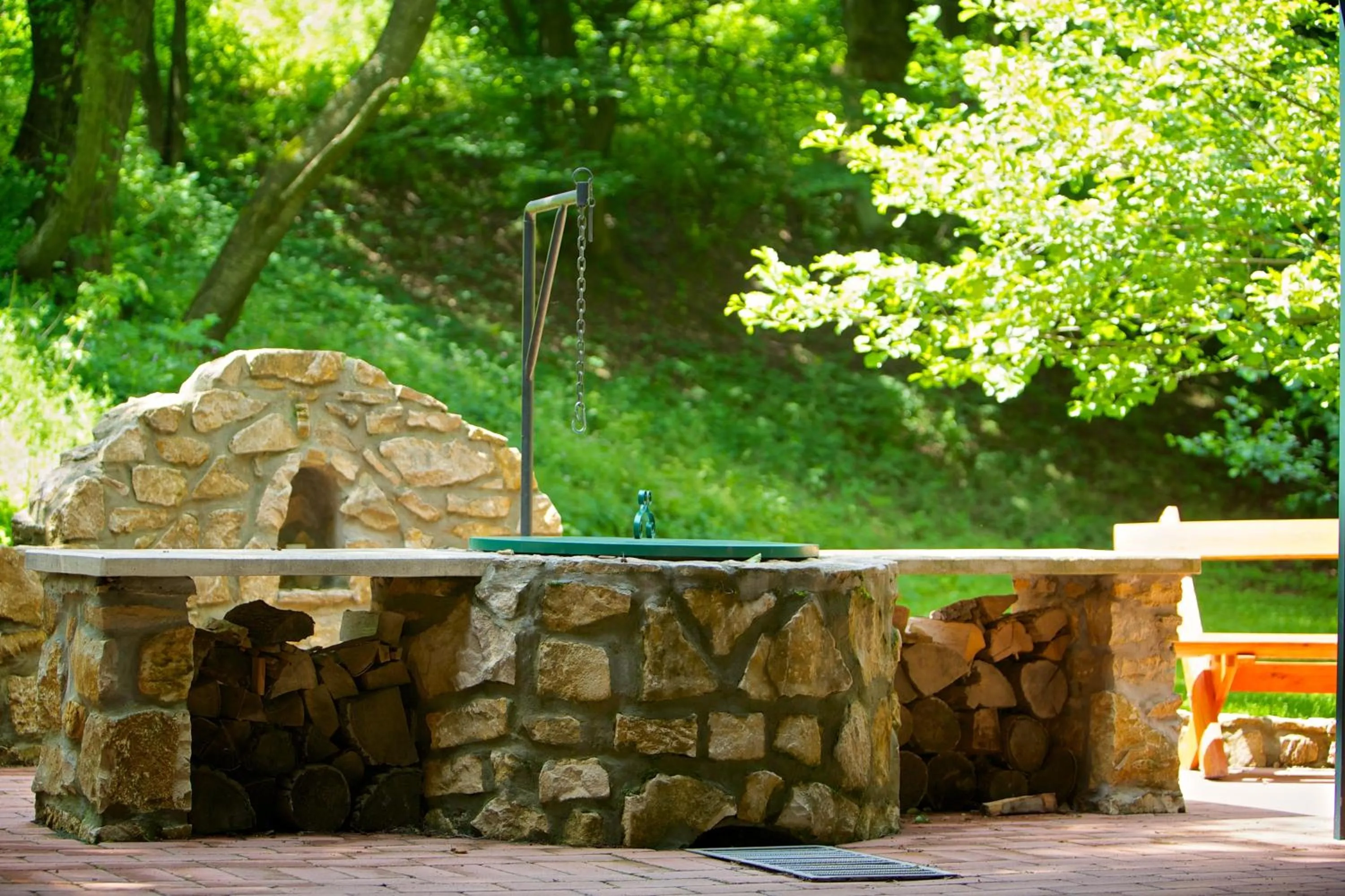 Garden in Hotel Forest Hills
