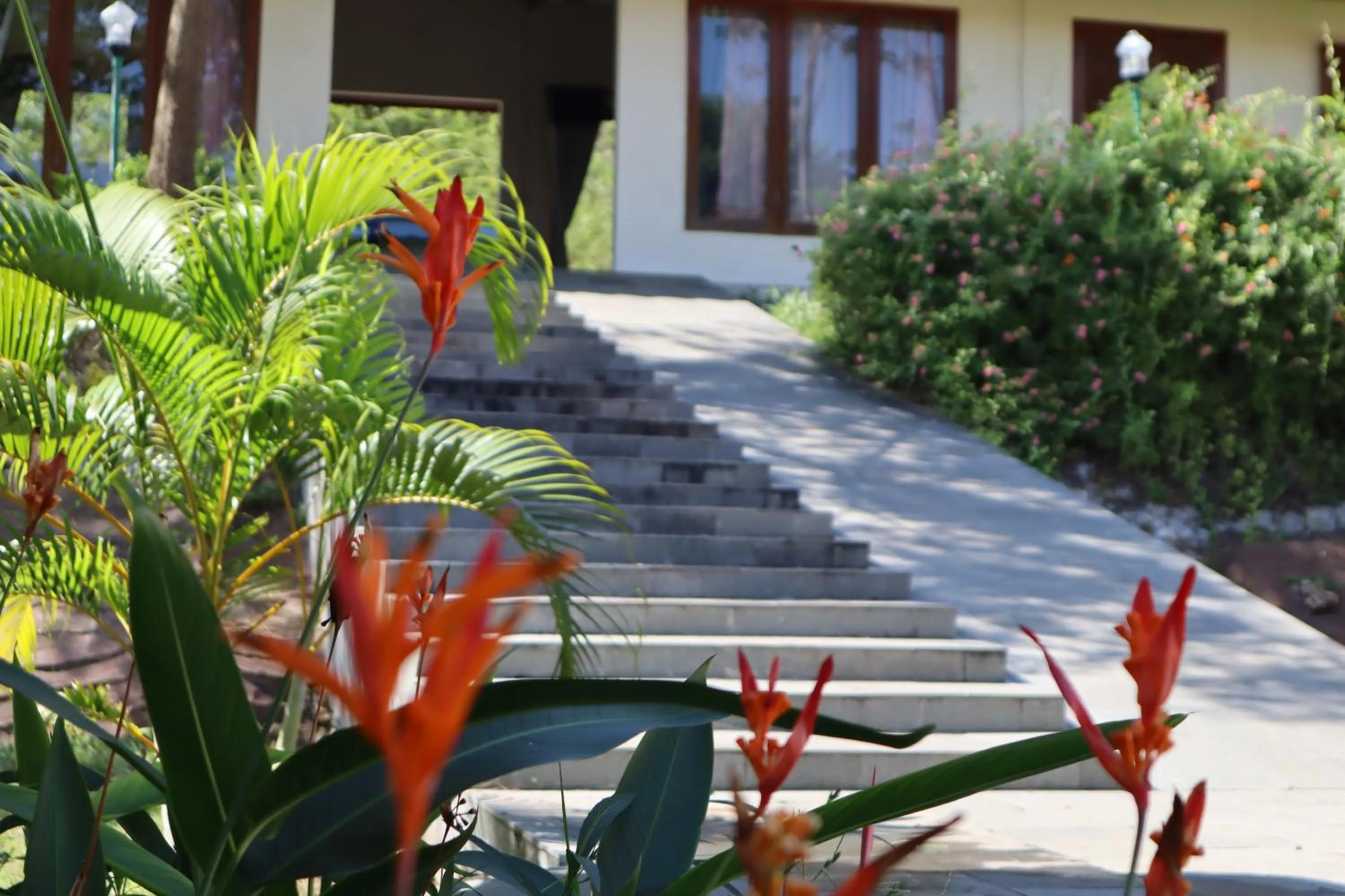 Property building in Tunak Cottage