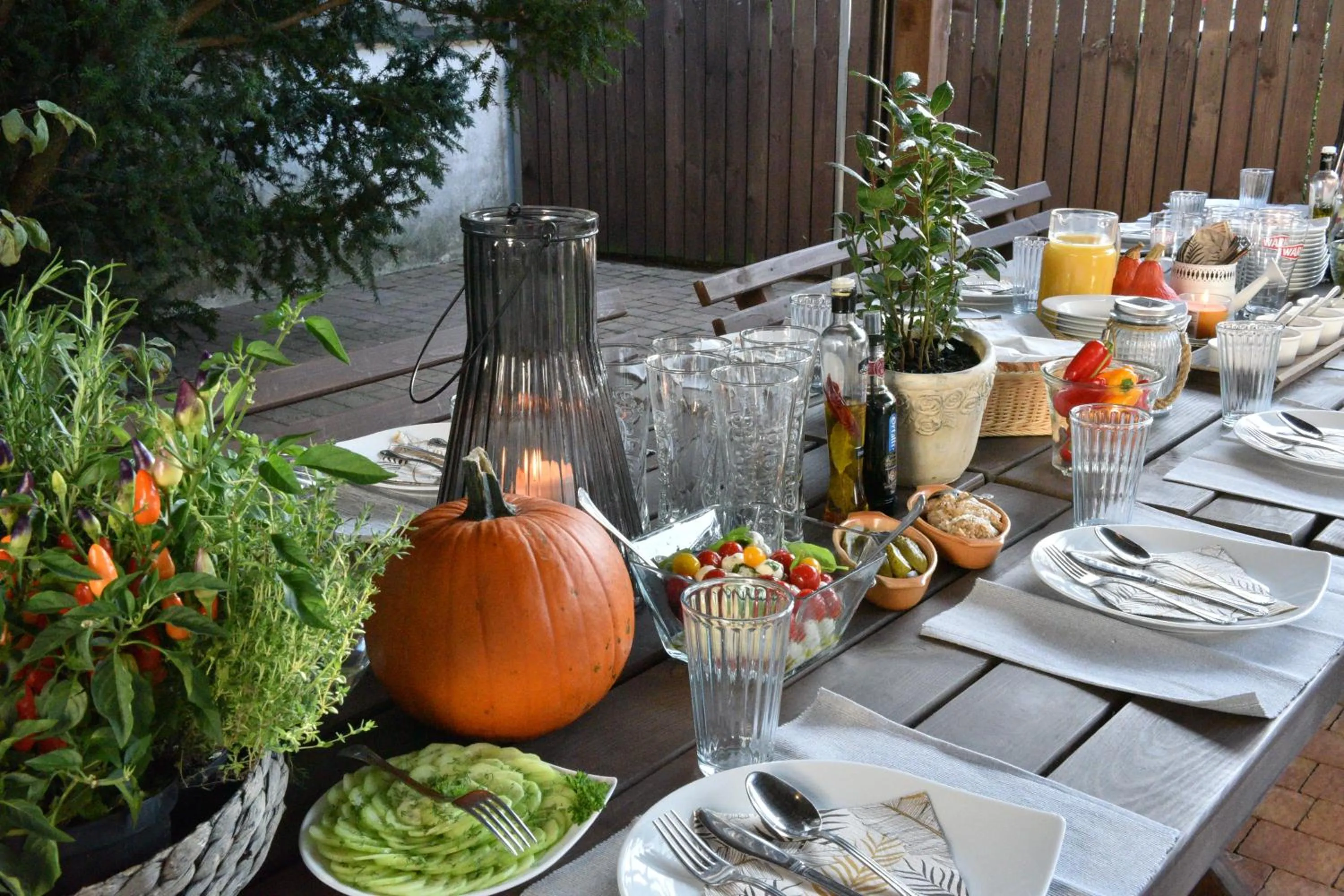 Food and drinks in Hotel Imperial Residence