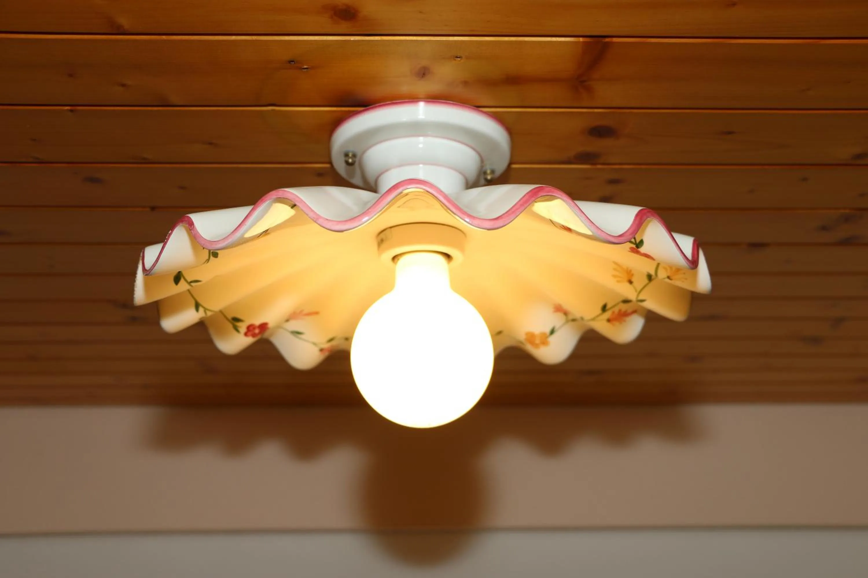 Decorative detail in Hotel Lowen