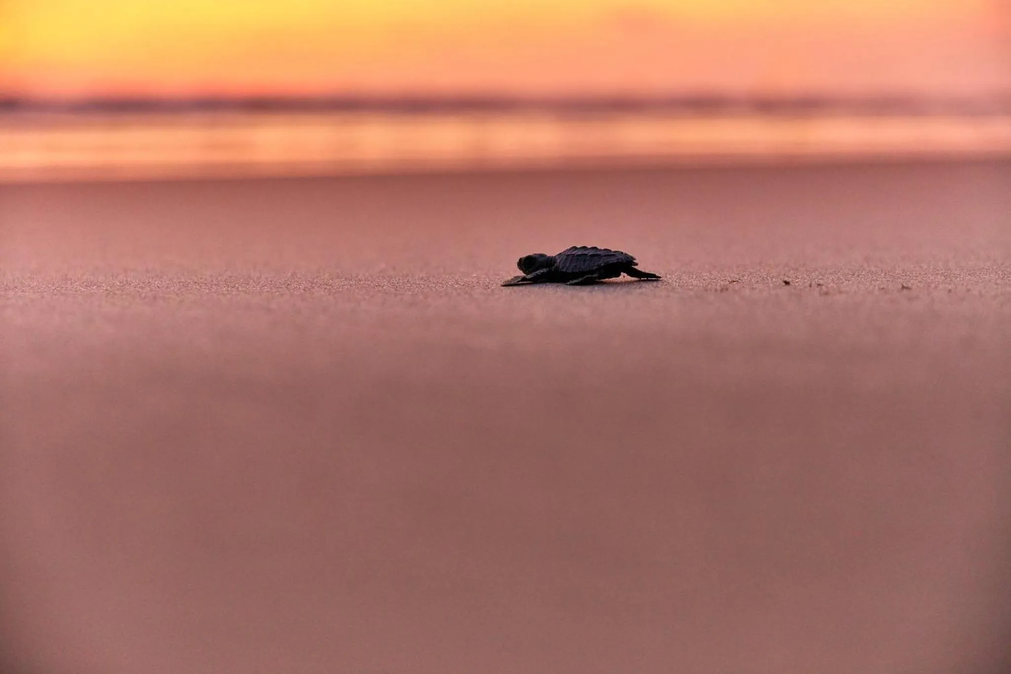 Nearby landmark in One Acapulco Diamante